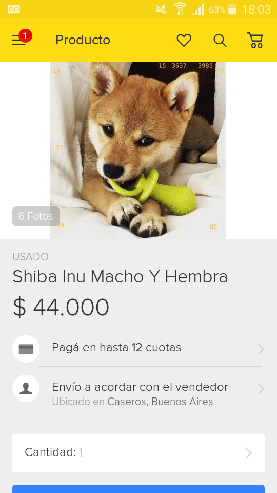 Por que comprar un perro 0km es muy caro argentina