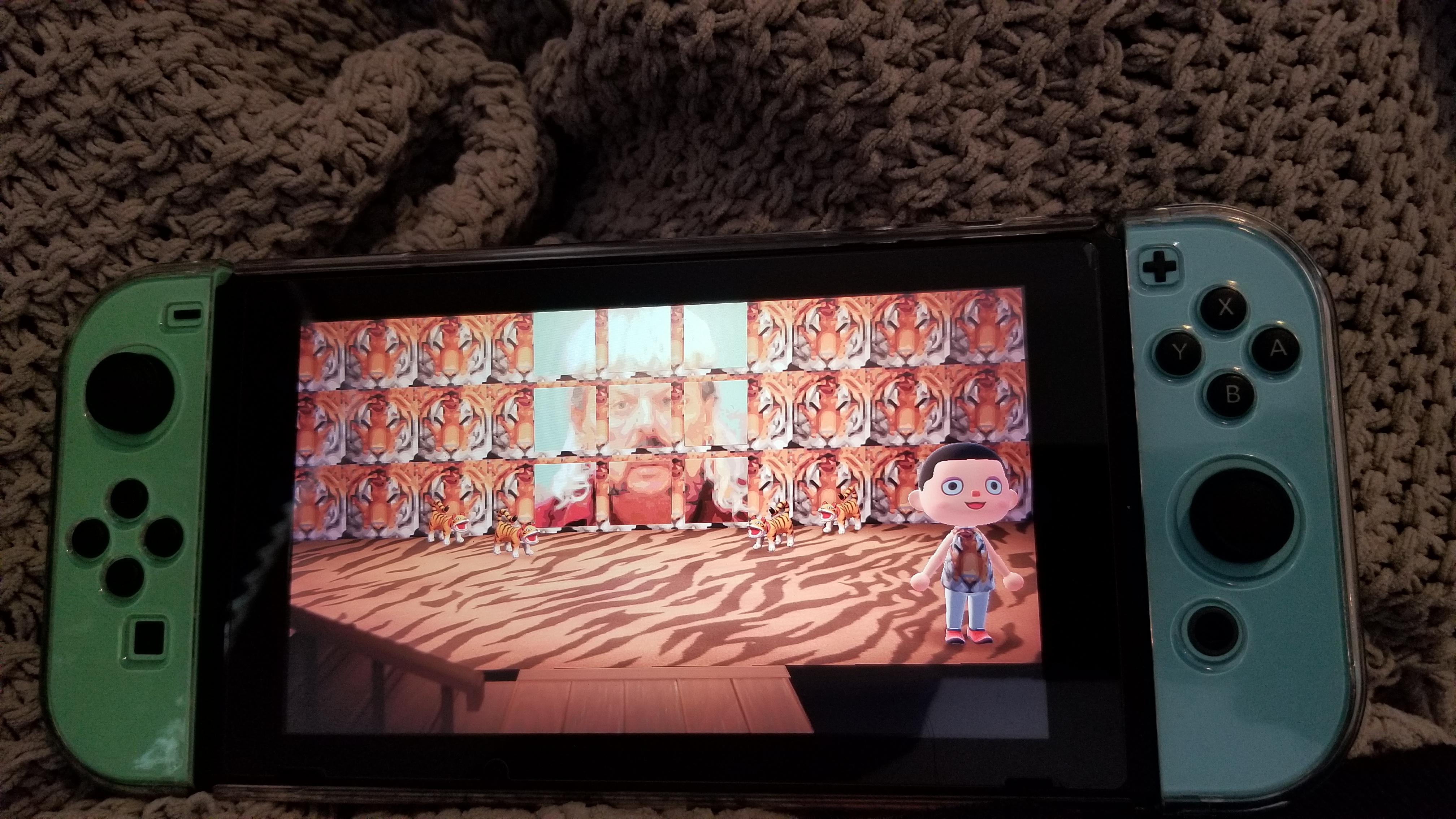 Big Cat Rescue Entertainment AnimalCrossing