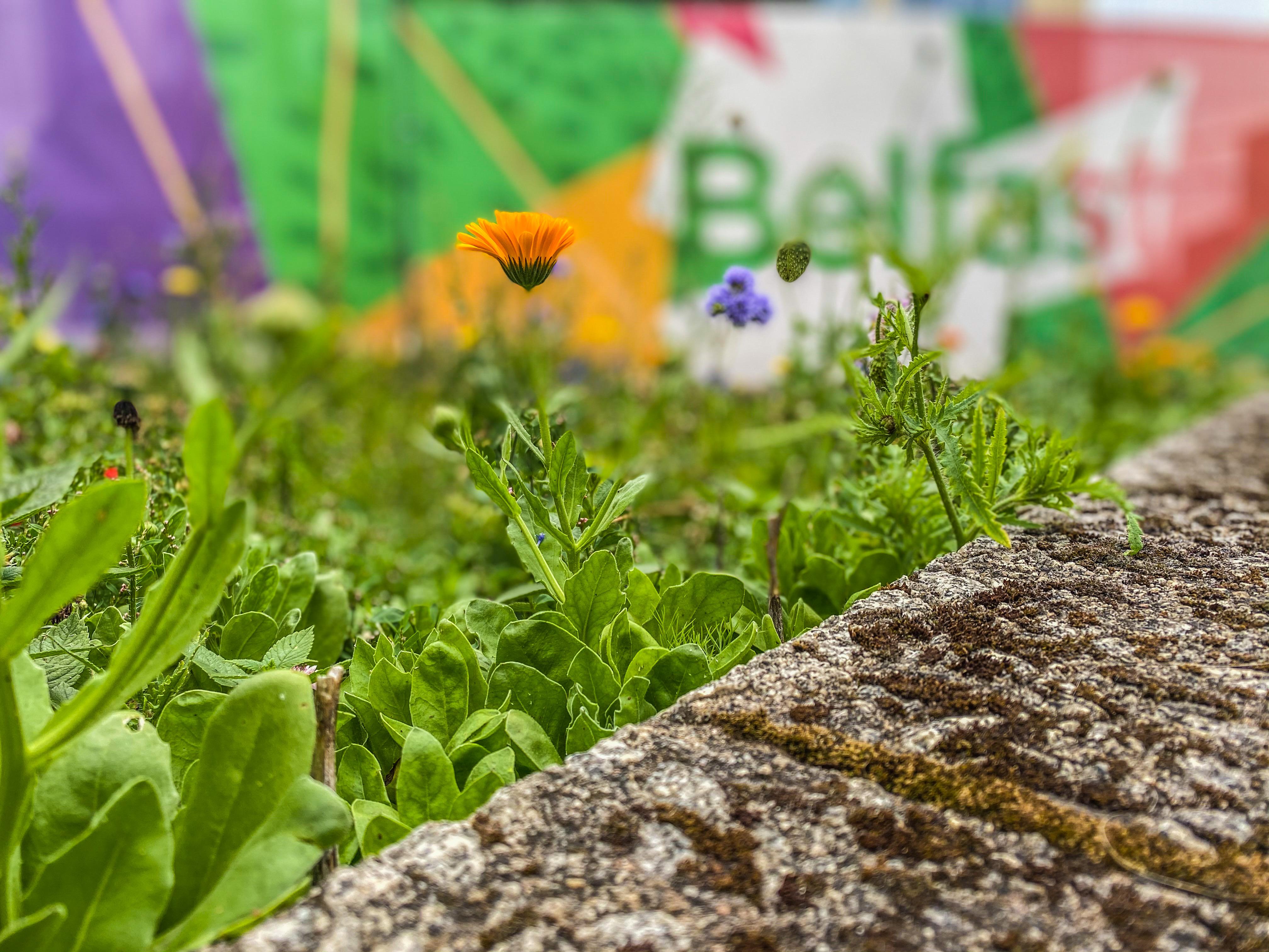 Art College Belfast. r/Belfast