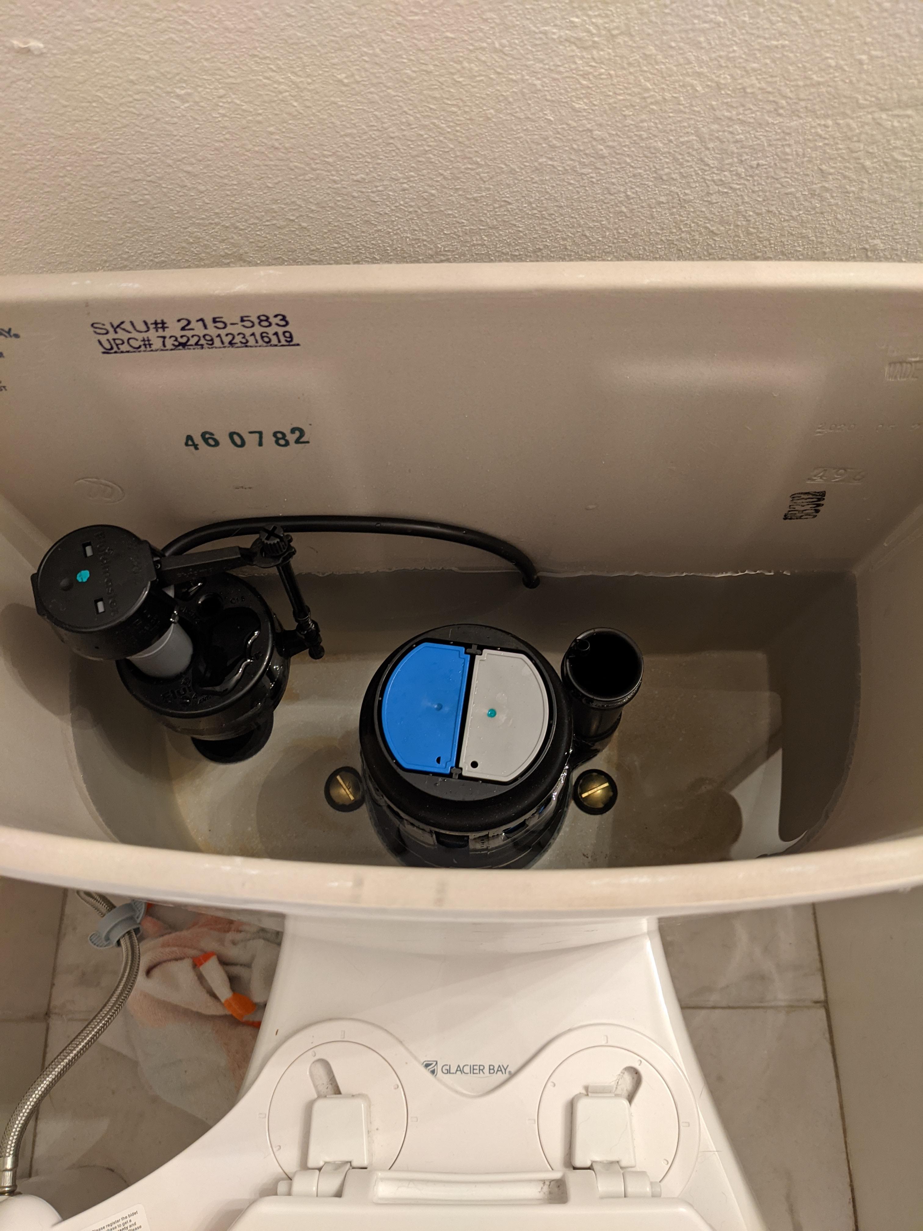 Should the black tube be connected to the overflow pipe? Few months old