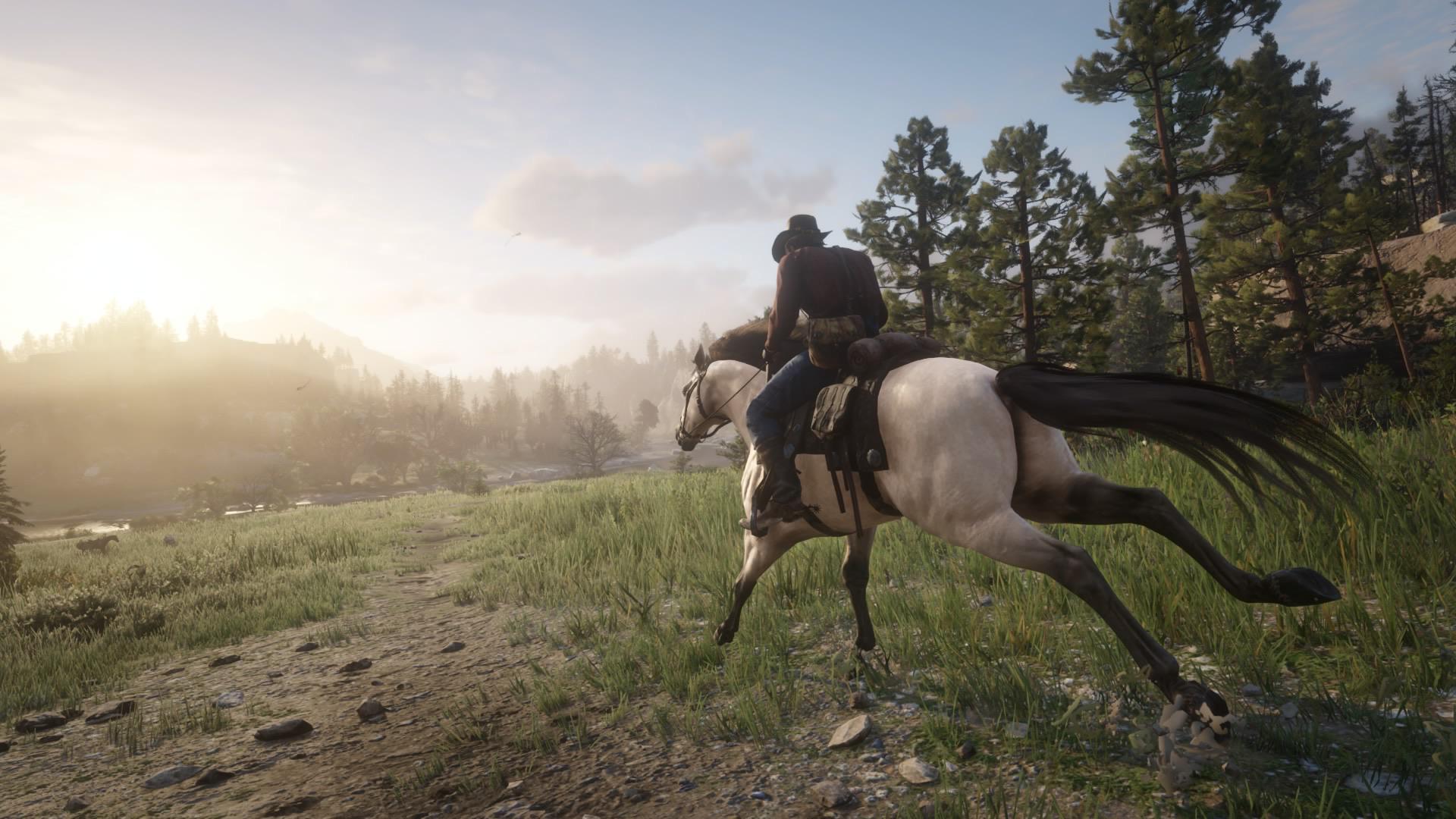 The Buttermilk Buckskin Kentucky Sadler is a horse. r