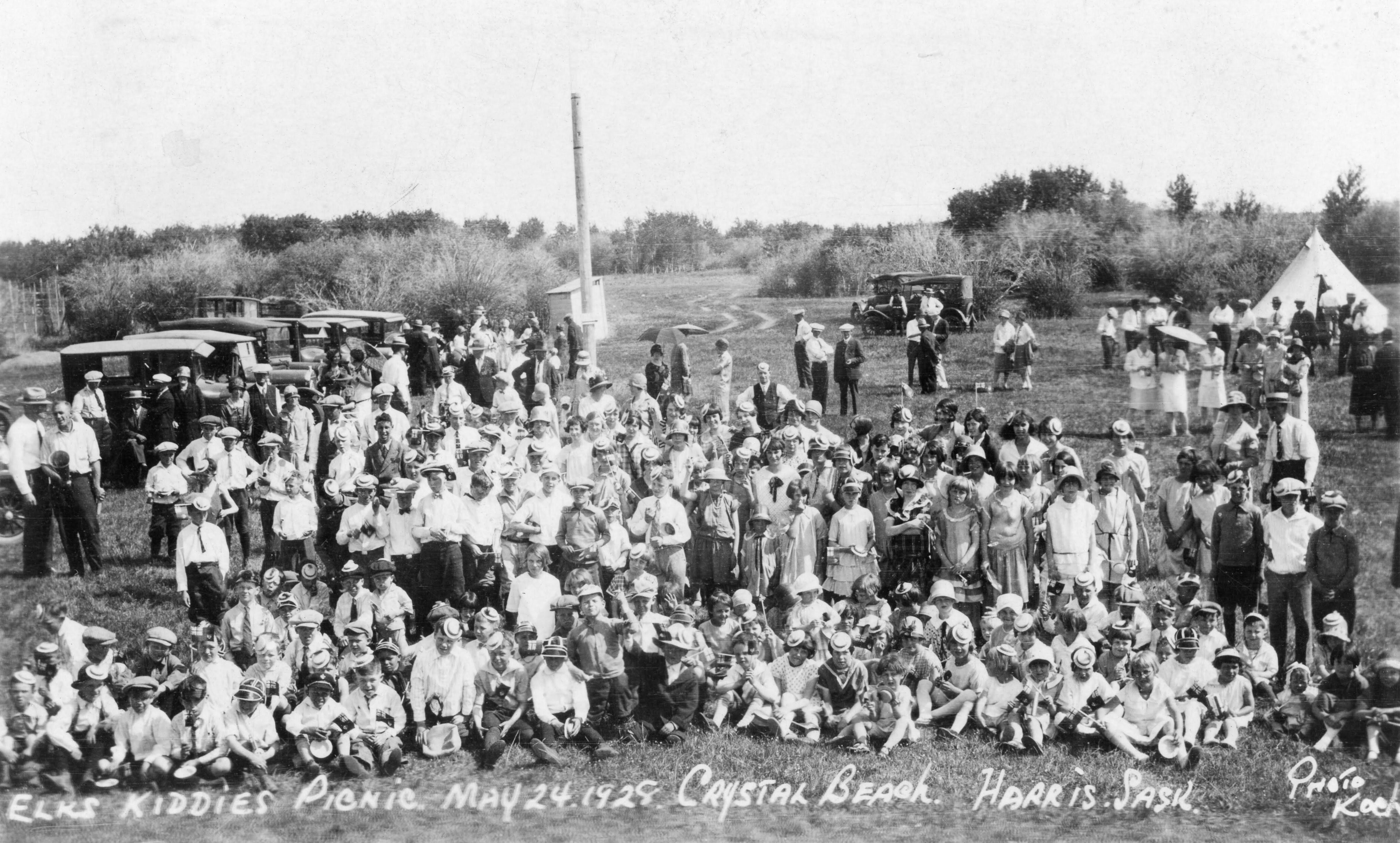 Another huge group photo The entire population of the HarrisZealandia