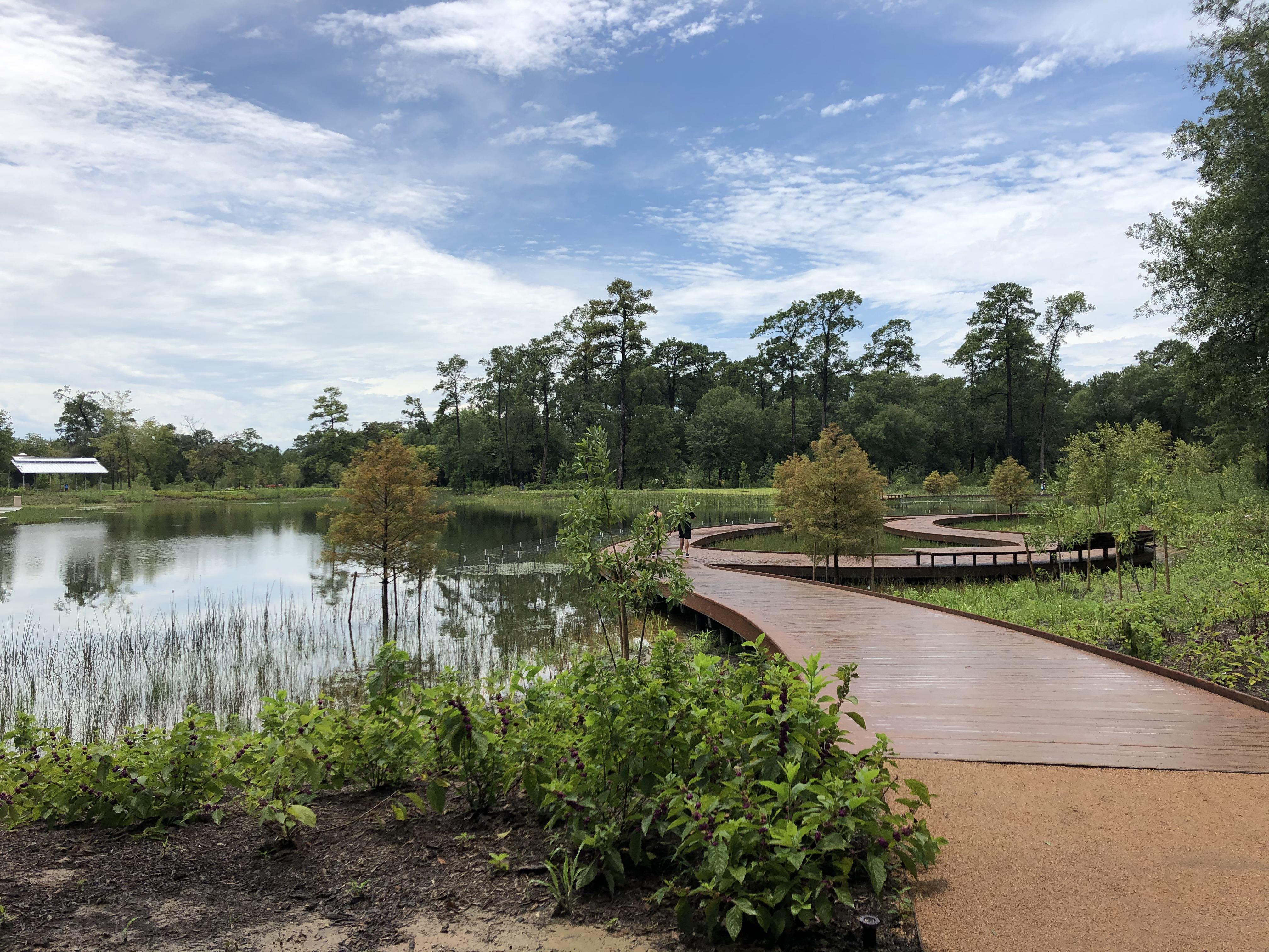 Hines Lake boardwalk at the newly opened Clay Family Eastern Glades