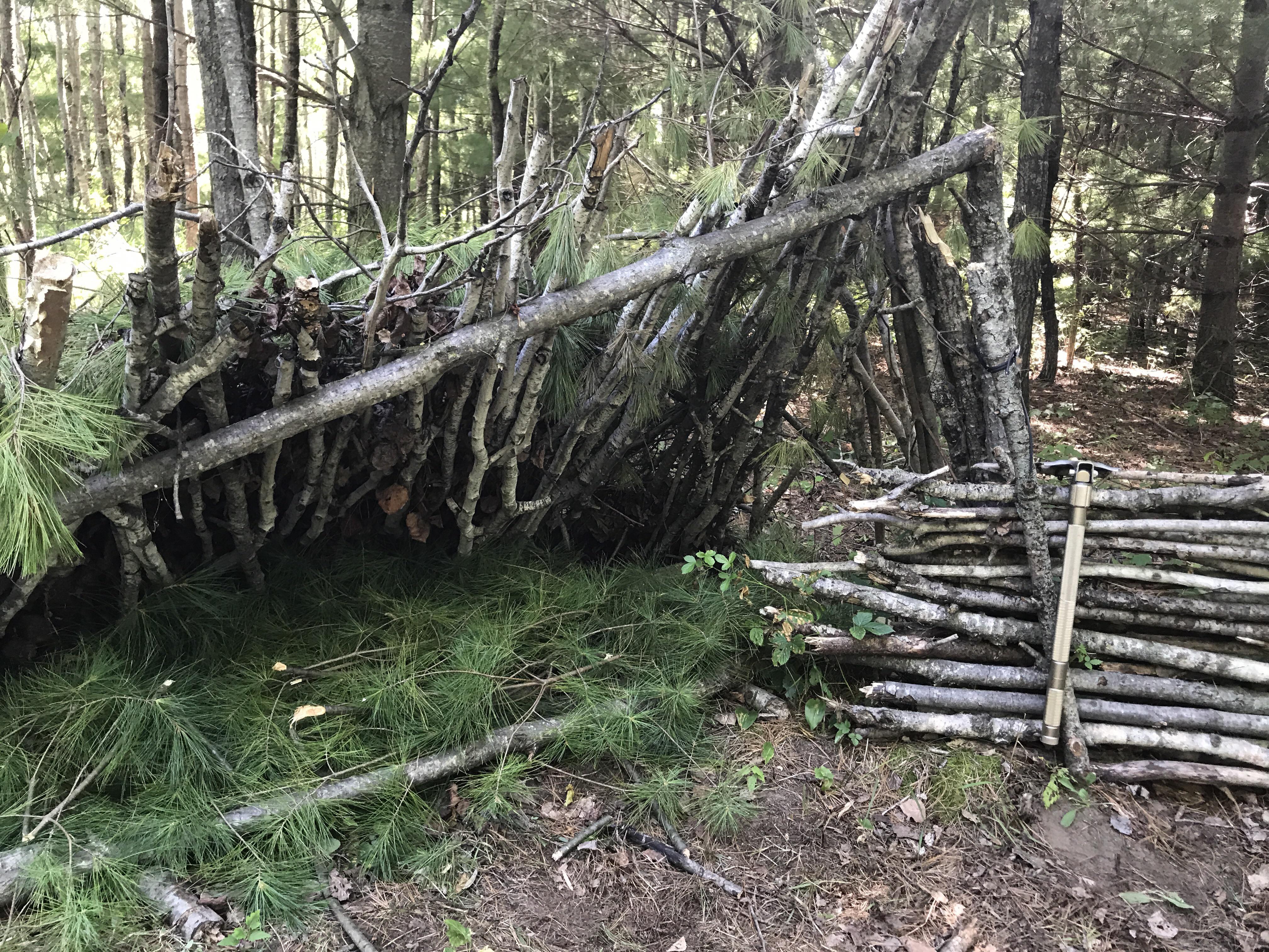 A little fort I made in about 10 minutes, nothing fancy but what do you