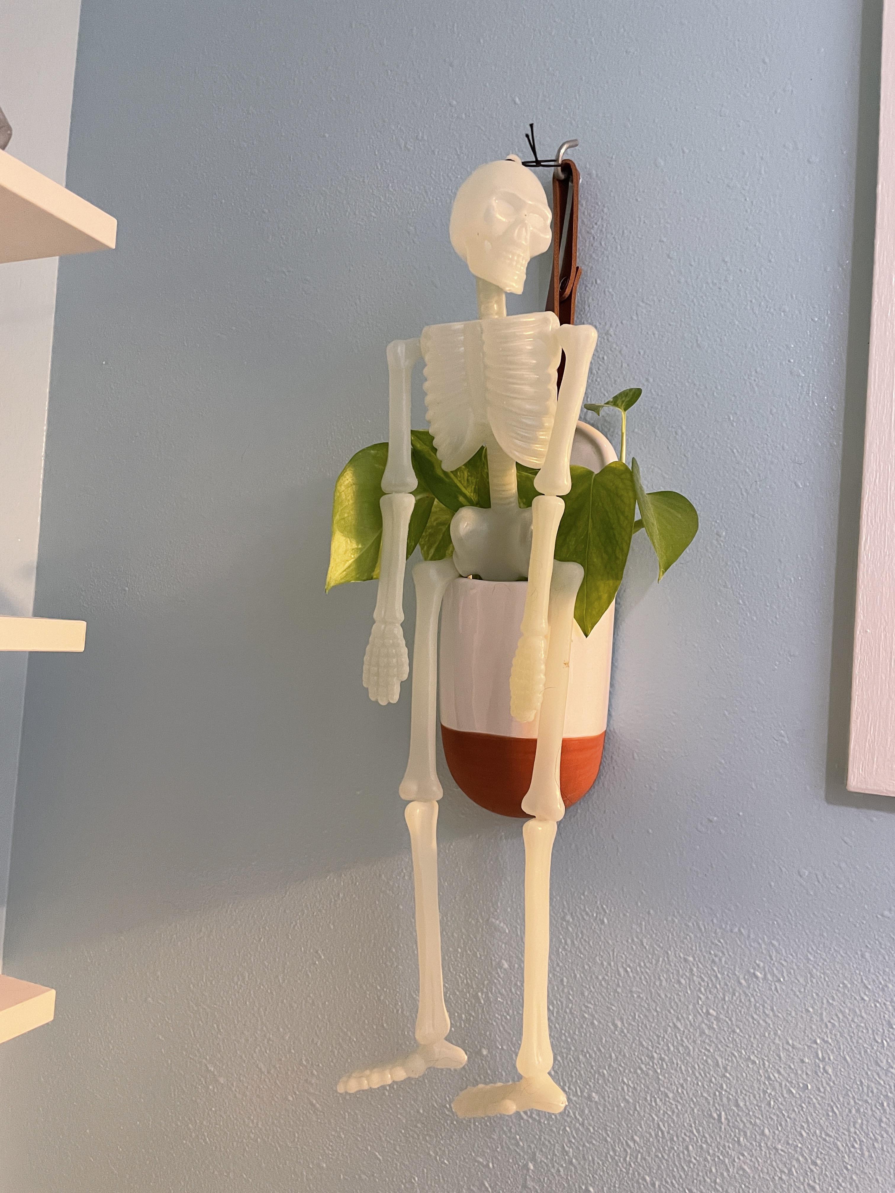 My kids put up Halloween decorations and I found this jerk pooping in