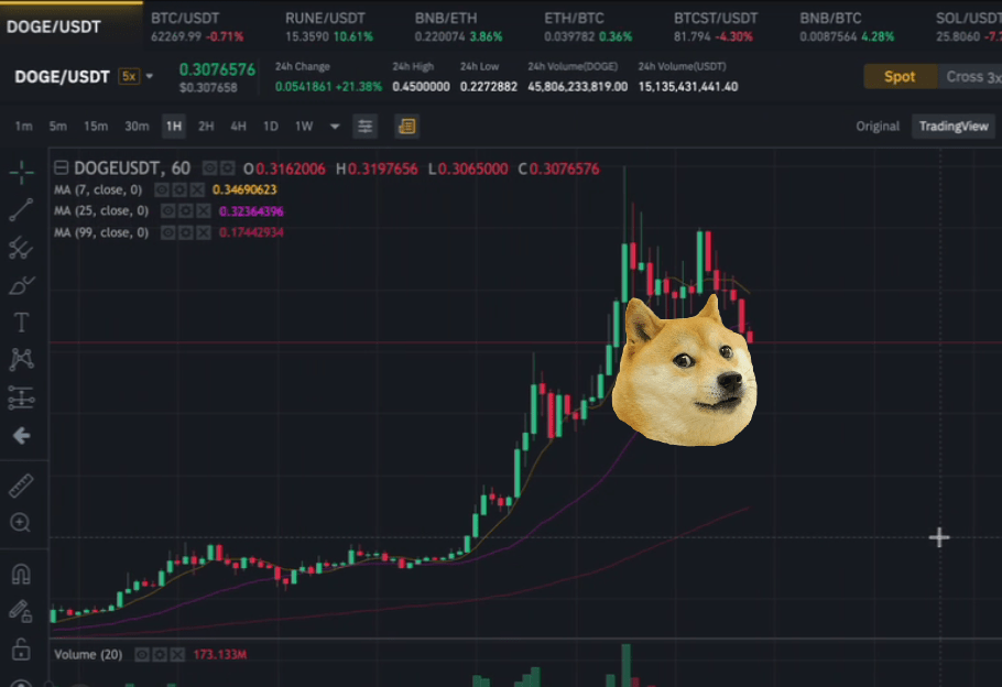 Doge head in the chart r/dogecoin