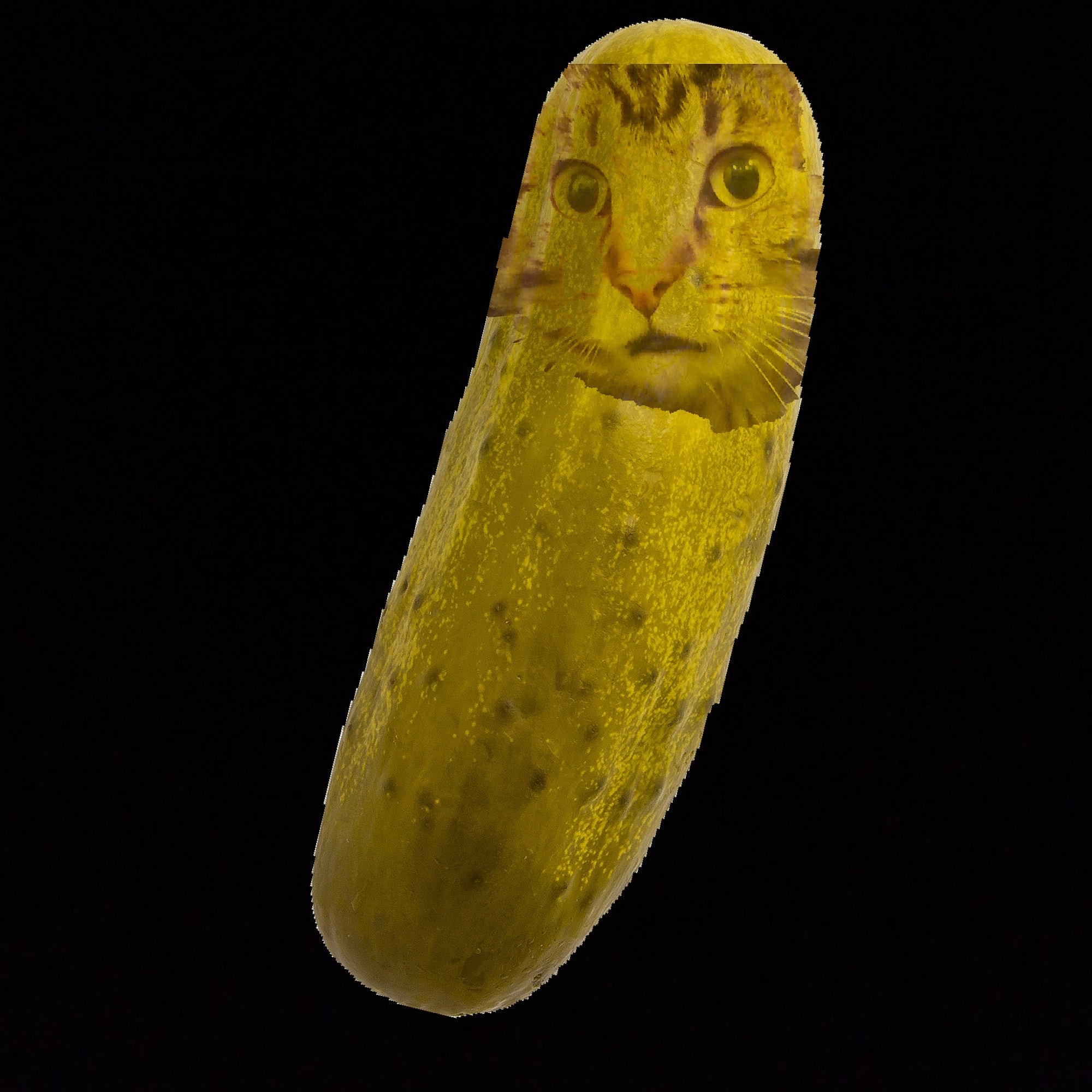 Help, this be pickle cat r/Imposter