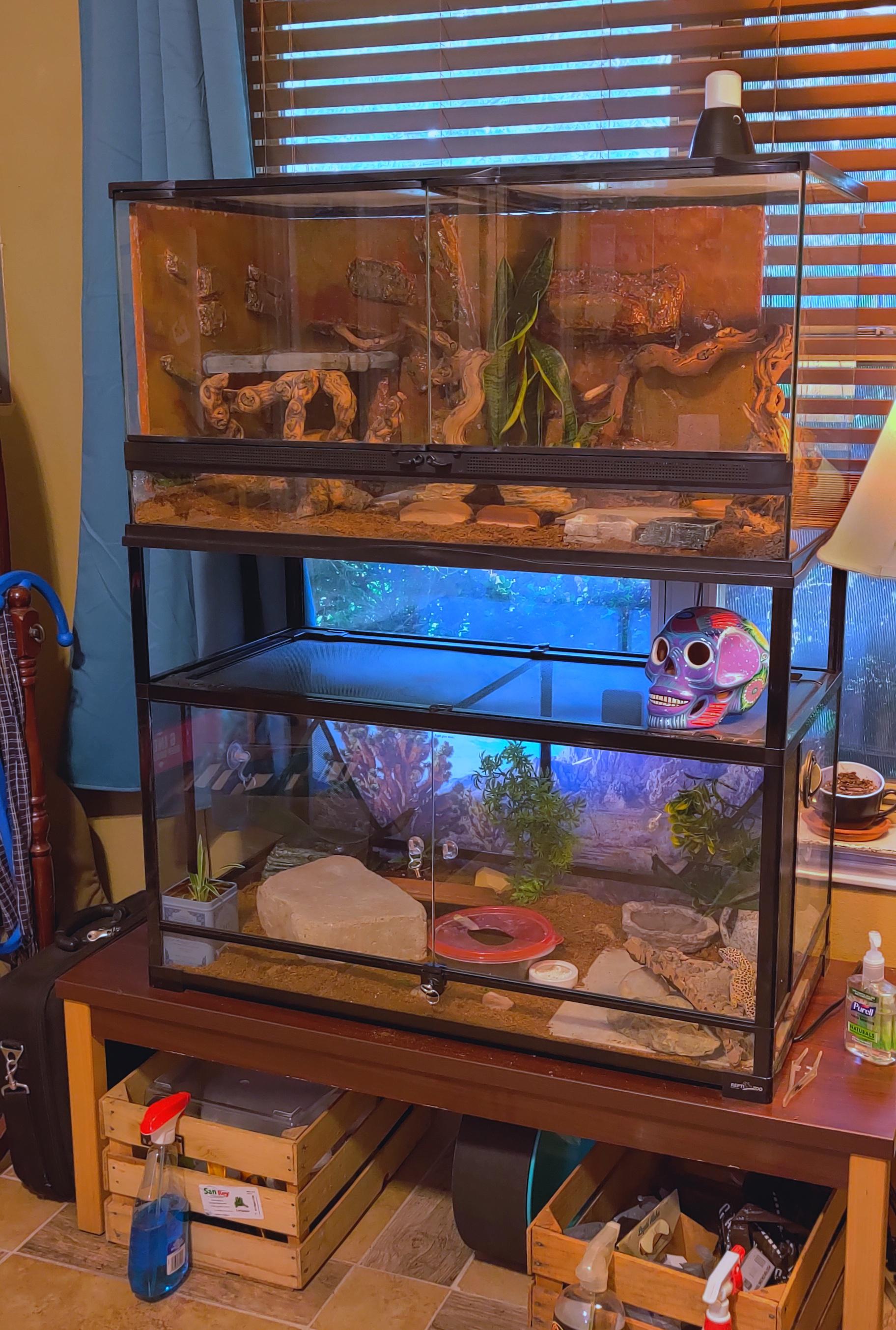 it took a little time but I finally got my leo lofts set up! no more