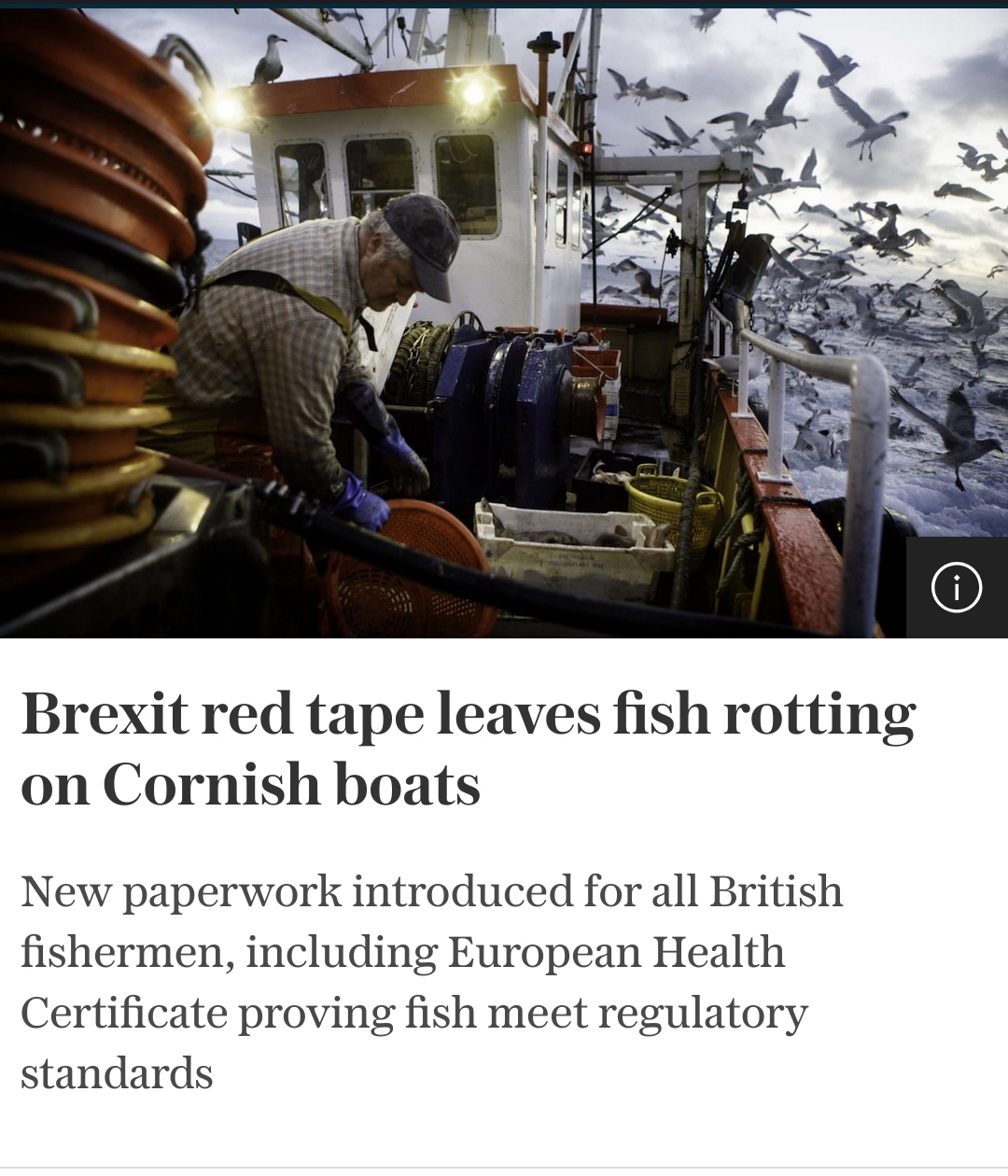 Oops, looks like Brexit isn't turning out so well for the fishing