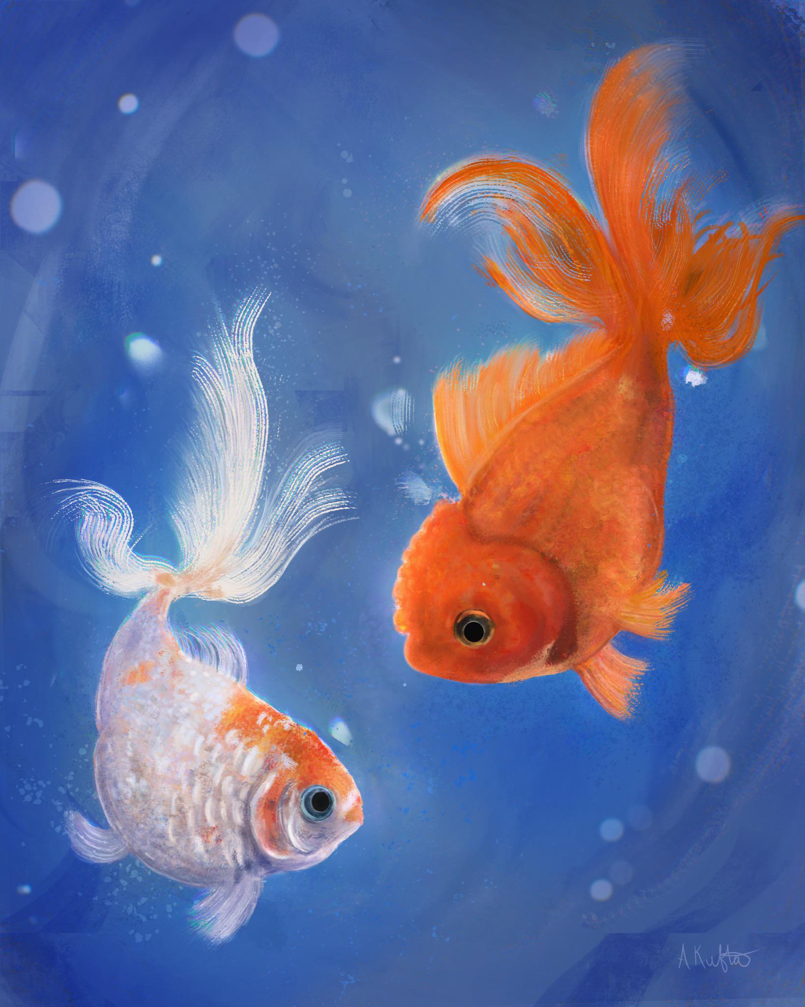 Painted two beautiful goldfish! r/Goldfish