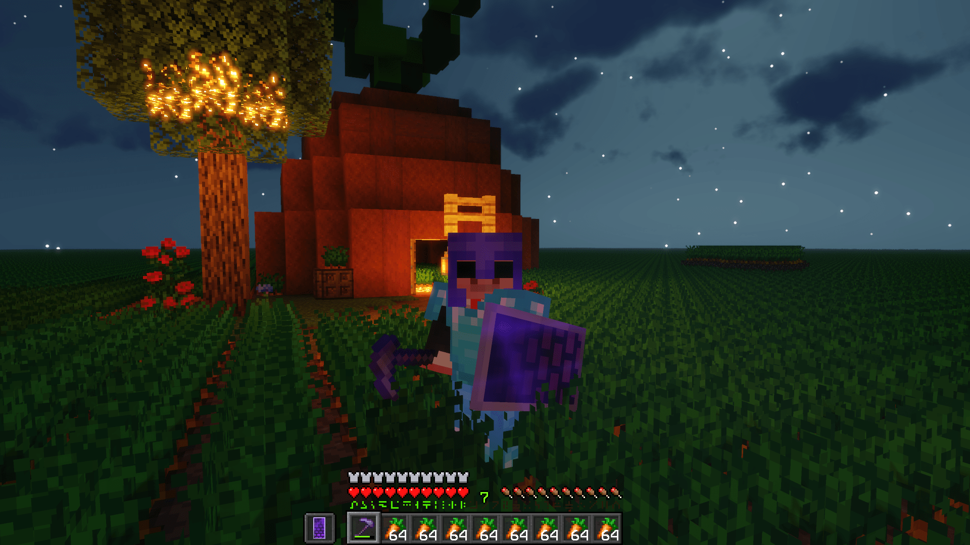 Yeah your carrot biomes are cool but do you have a carrot house? r