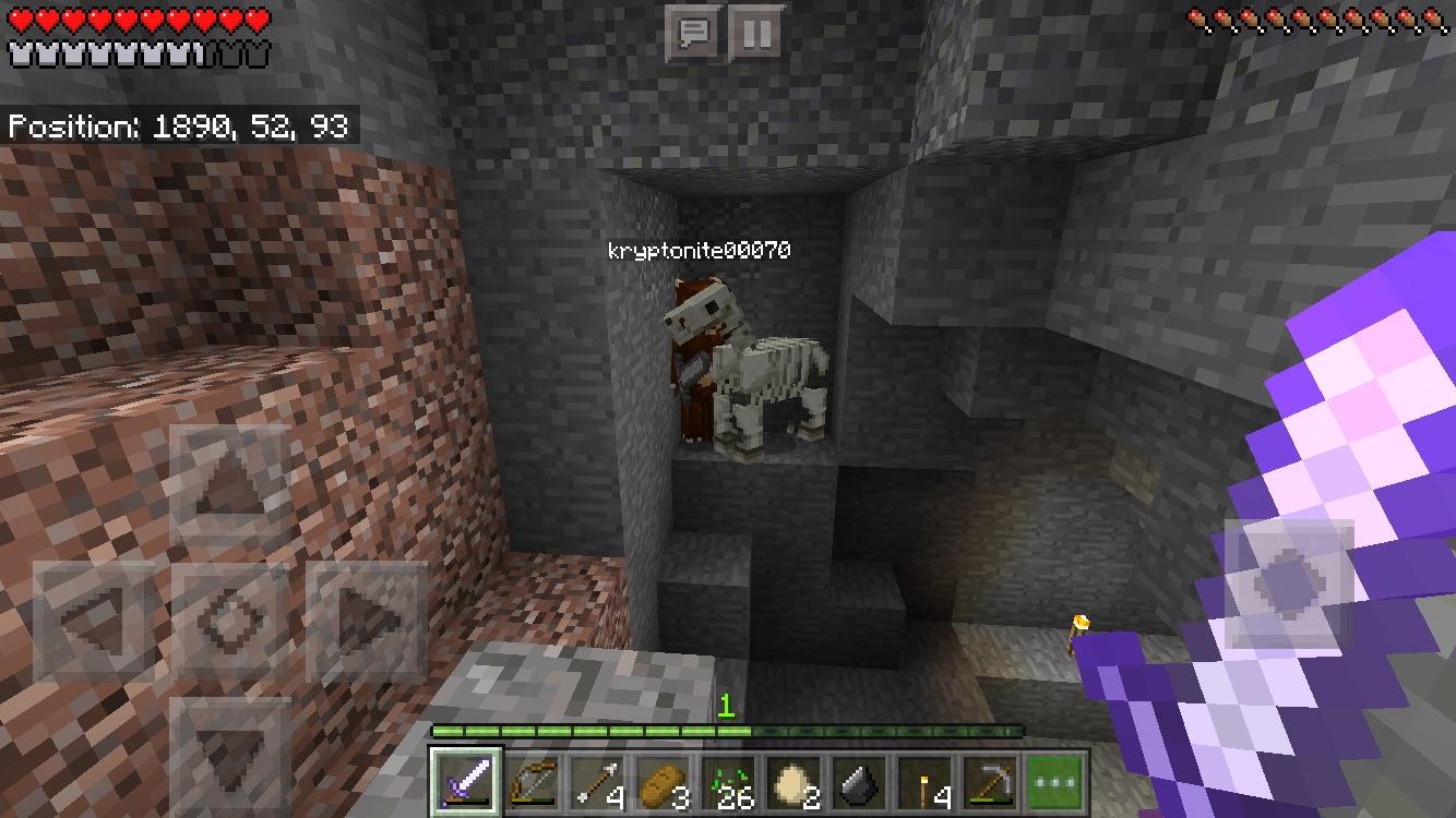 Me and my brother found two skeleton horses in a cave, what do they do Minecraft