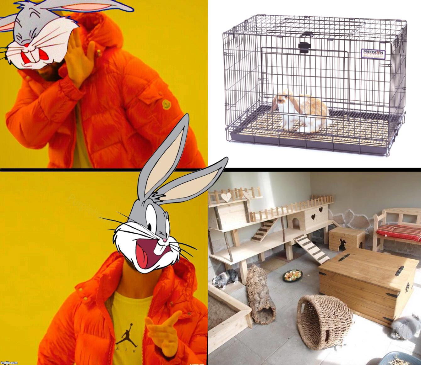 Good house rabbit owners be like r/Rabbits