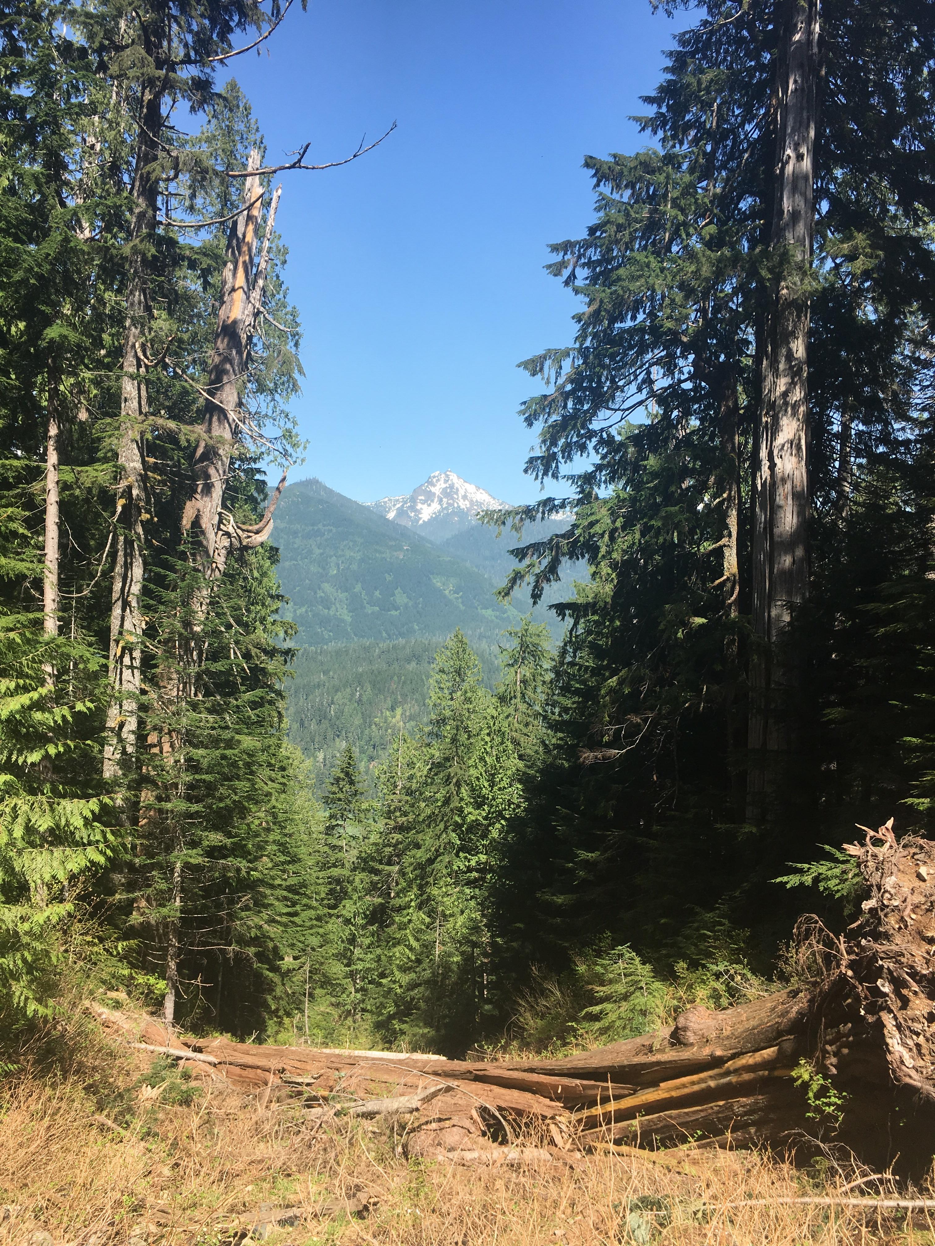 Views from the way up to Lake 22, Granite Falls, WA [OC] (3064x2448