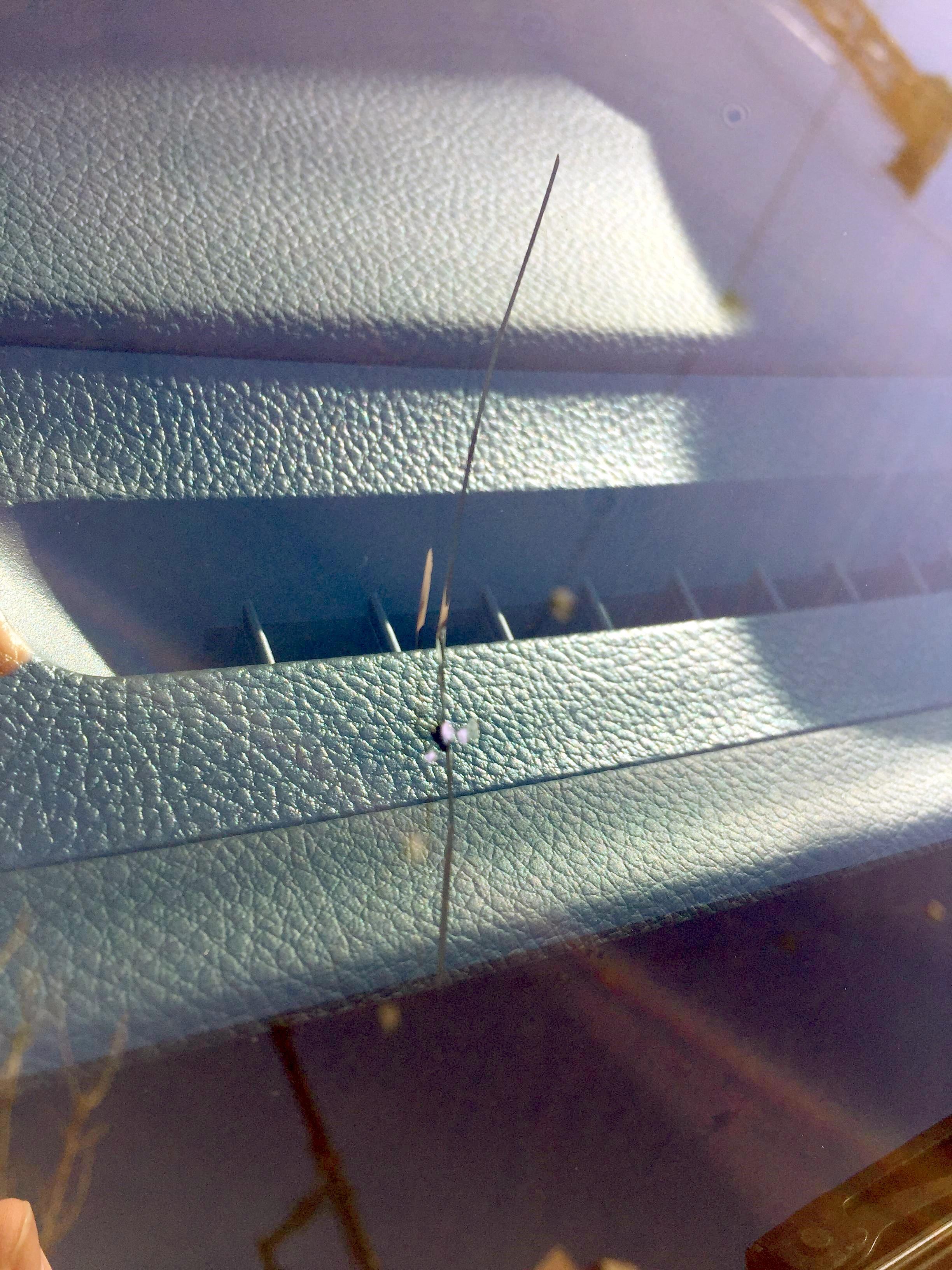 Rock Chip Cracked 2017 Windshield WRX