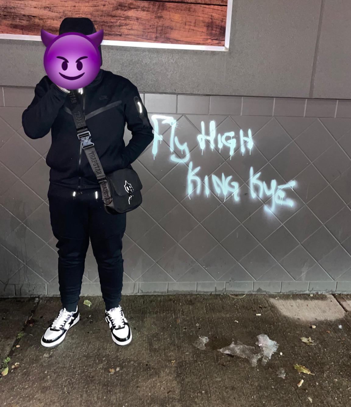 Husky Tech, Goat Trapstar bag, ¥149 Bapestas! r/FashionReps