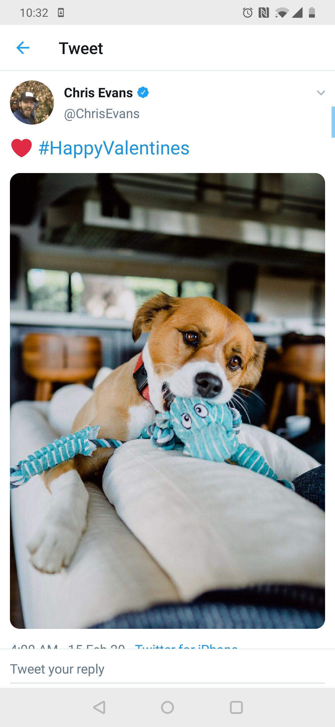 Happy Valentine's you guys! I am obsessed with his dog posts. r