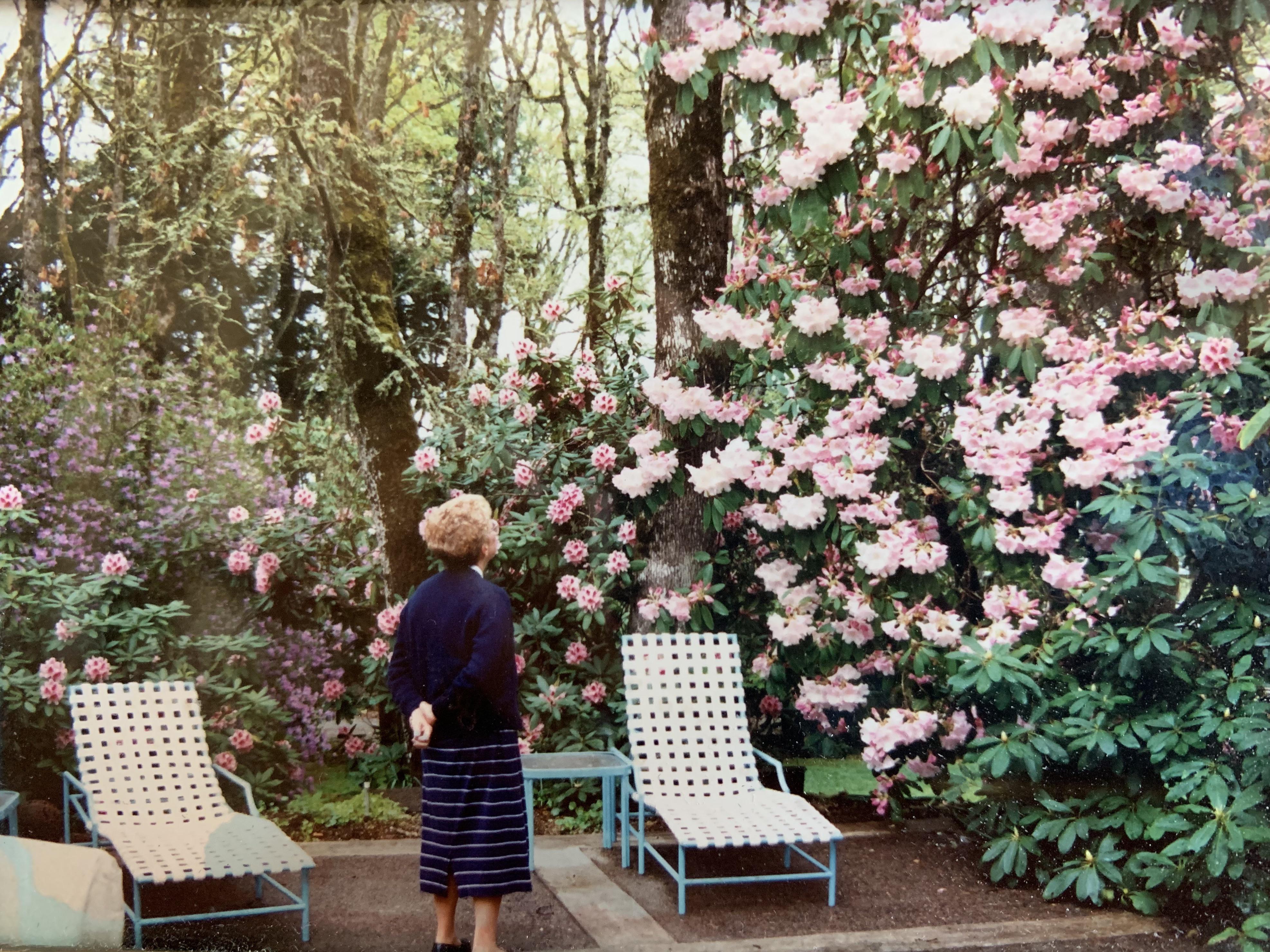 My grandma admiring the rhododendron she grew in her backyard in Eugene