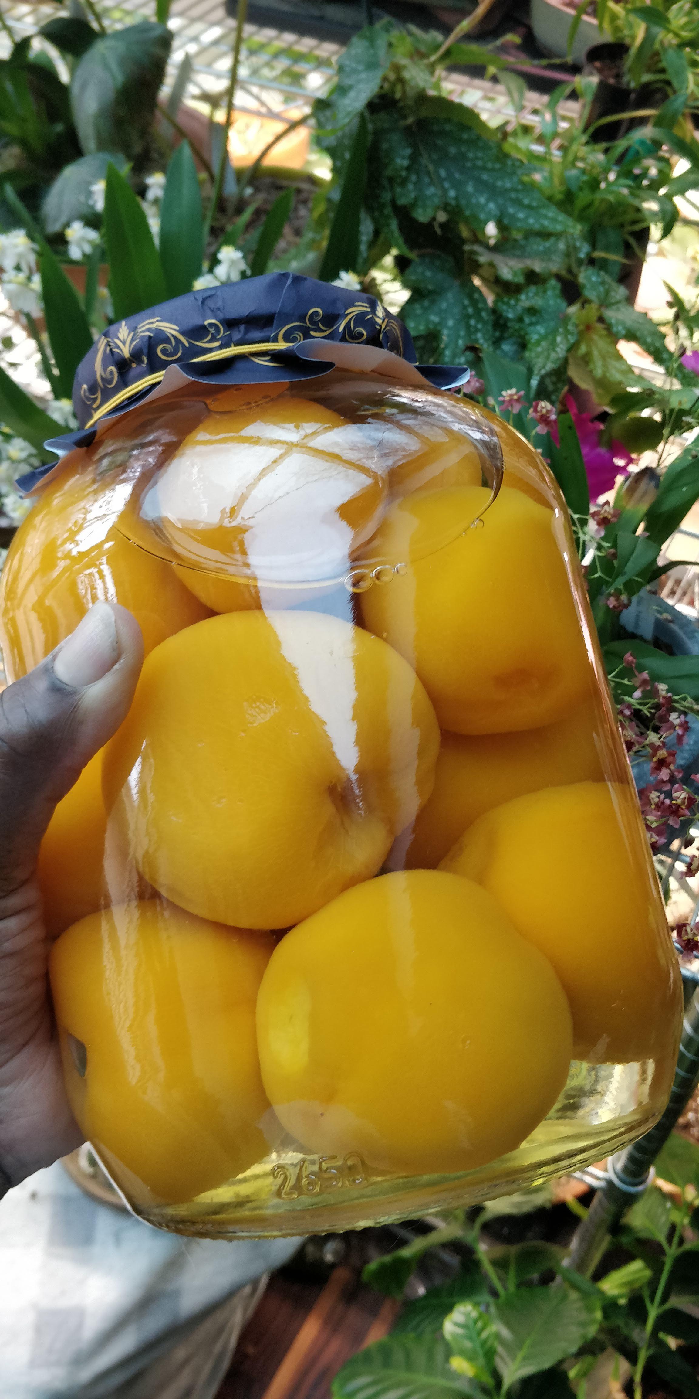 The Biggest Peach Jar Leak Ever Recorded? ICRW — Creator Insight Briefs