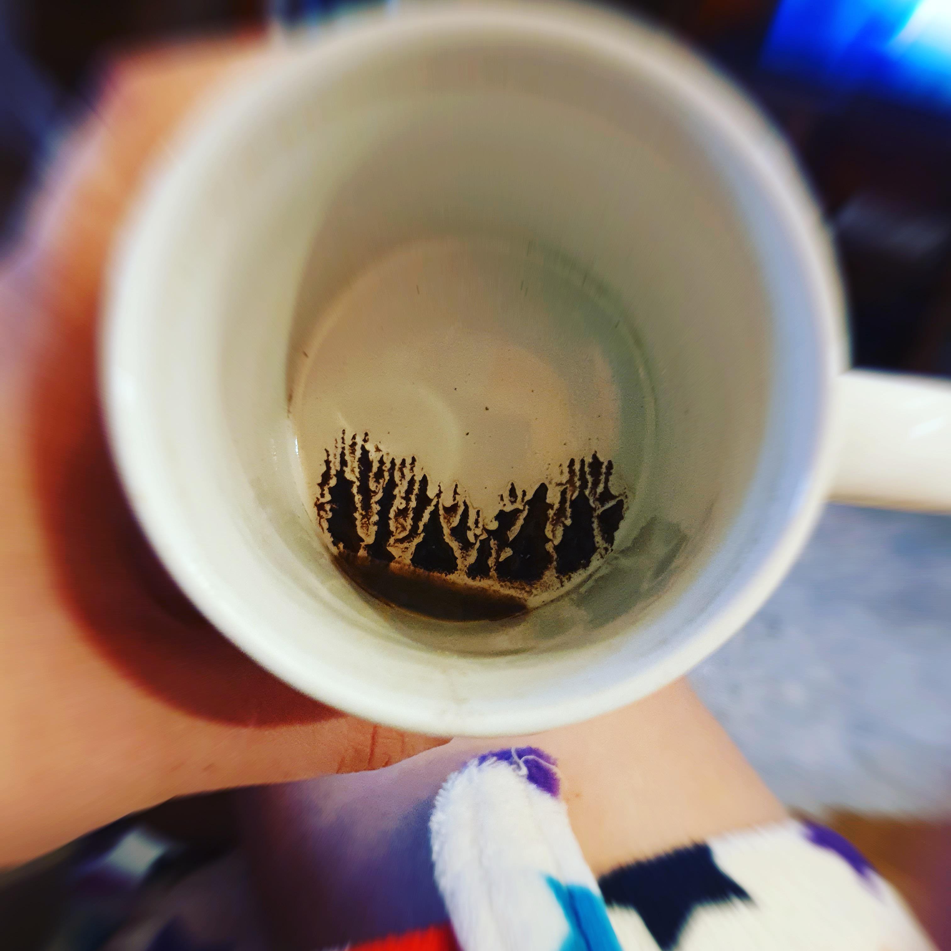 The bottom of my coffee cup looked like a forest this morning r