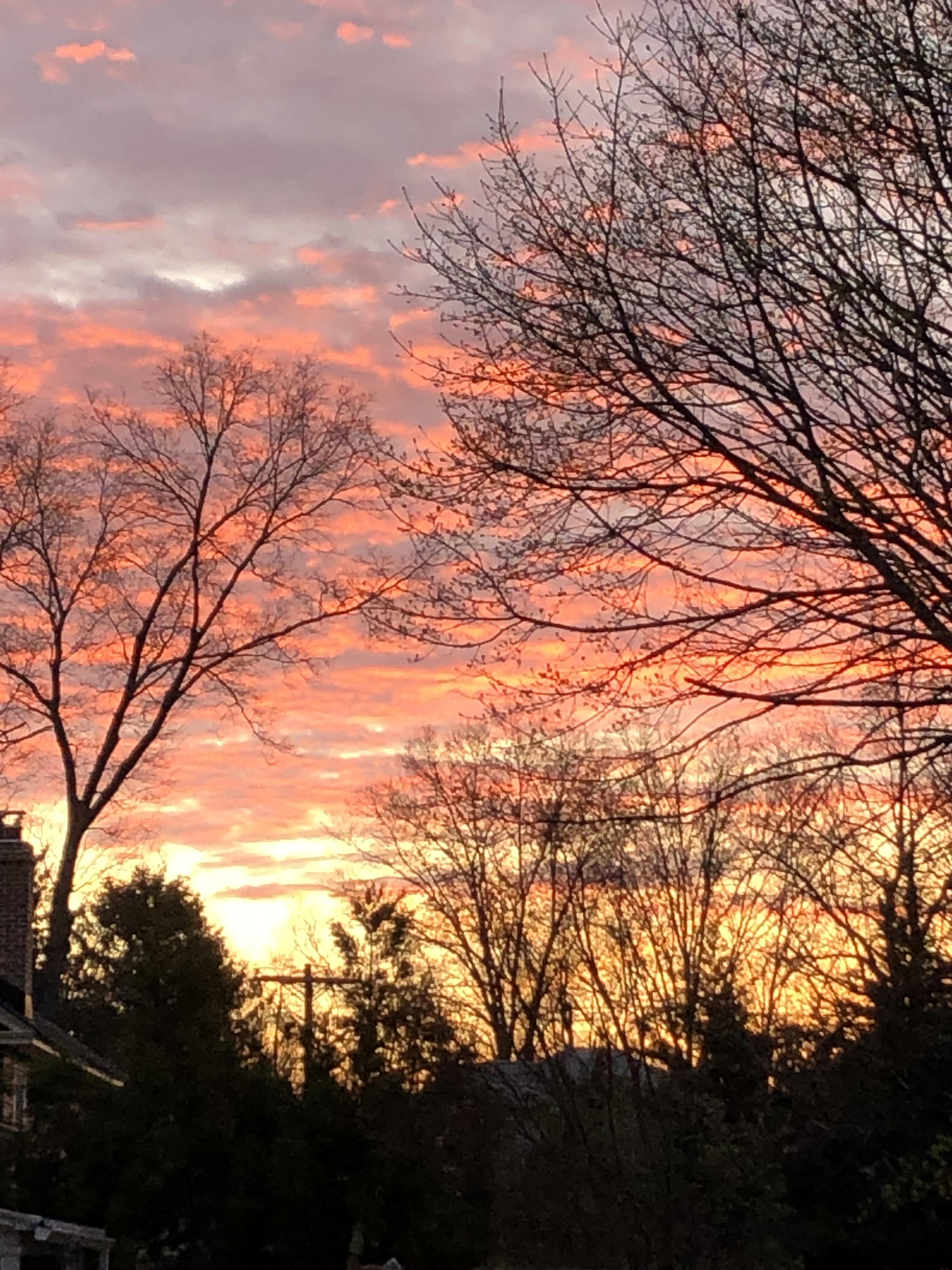 Awesome sunrise in Jersey a few days back r/Outdoors