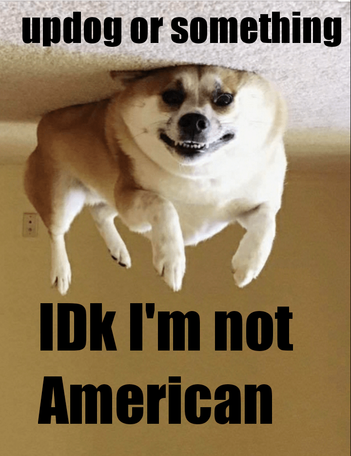 Ah yes what is up dog r/memes