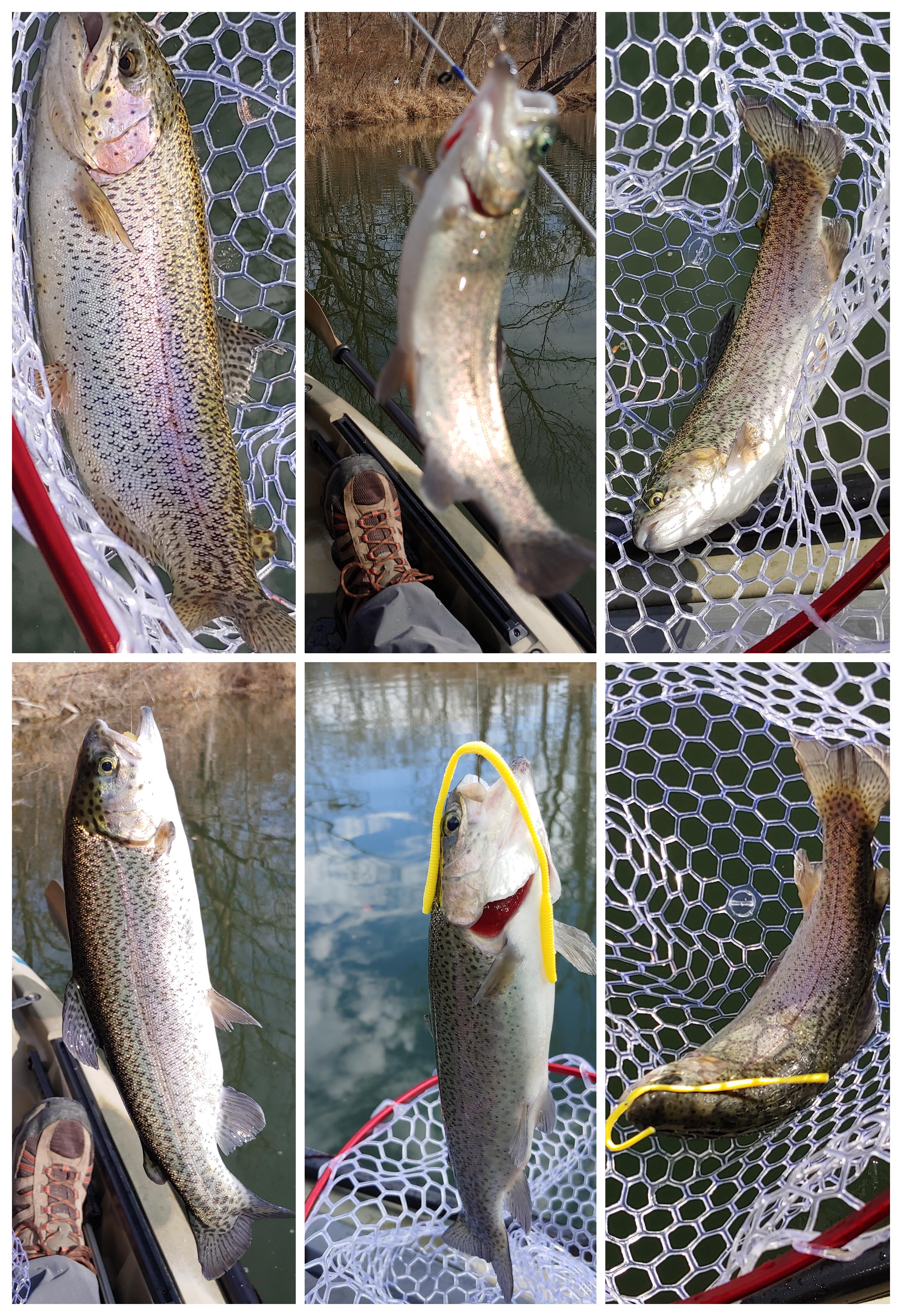 6 Pack off a Kayak! r/troutfishing