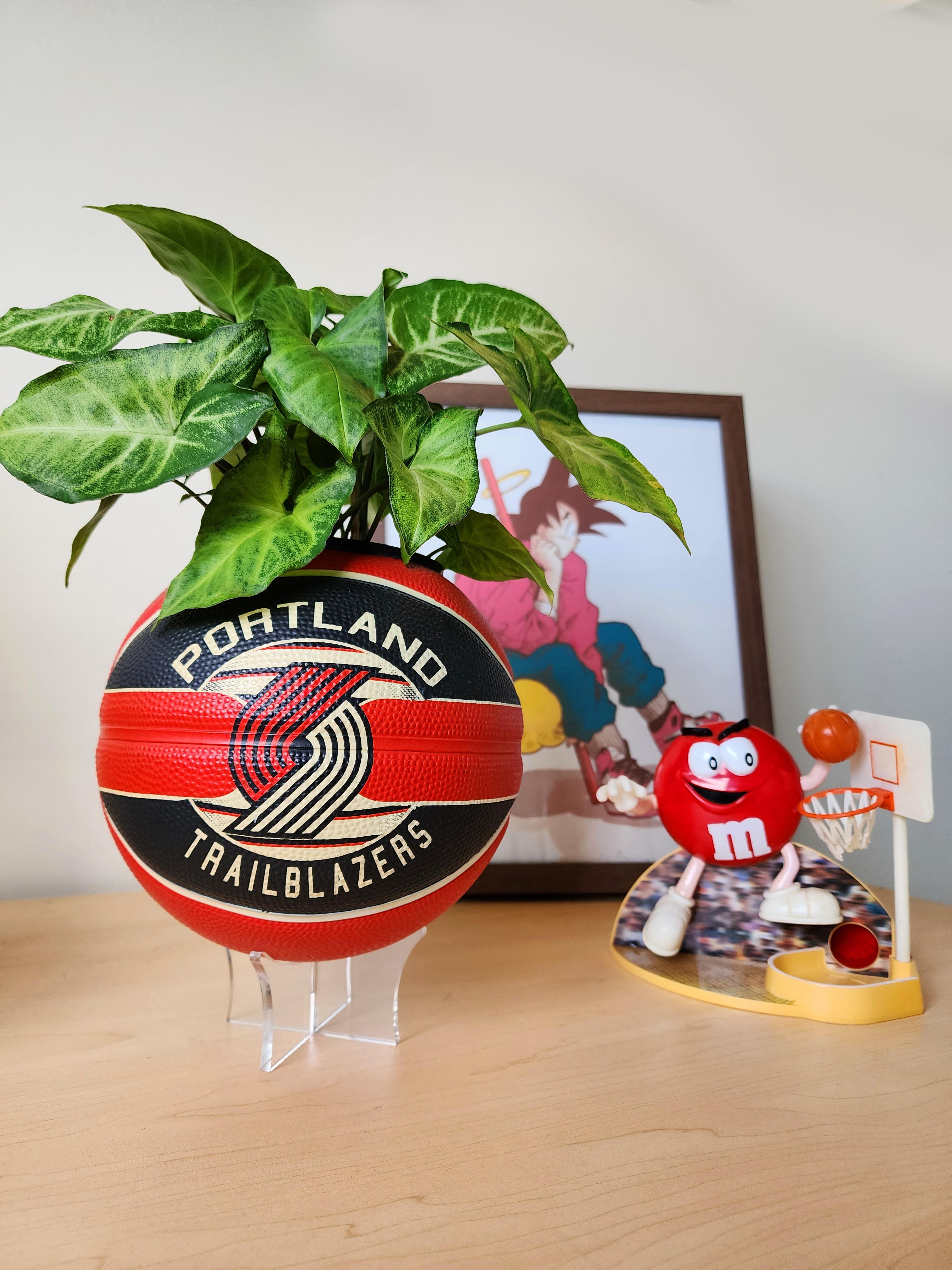 I turn old Basketballs into Plant Pots for a shop I run ) r/Upcycled