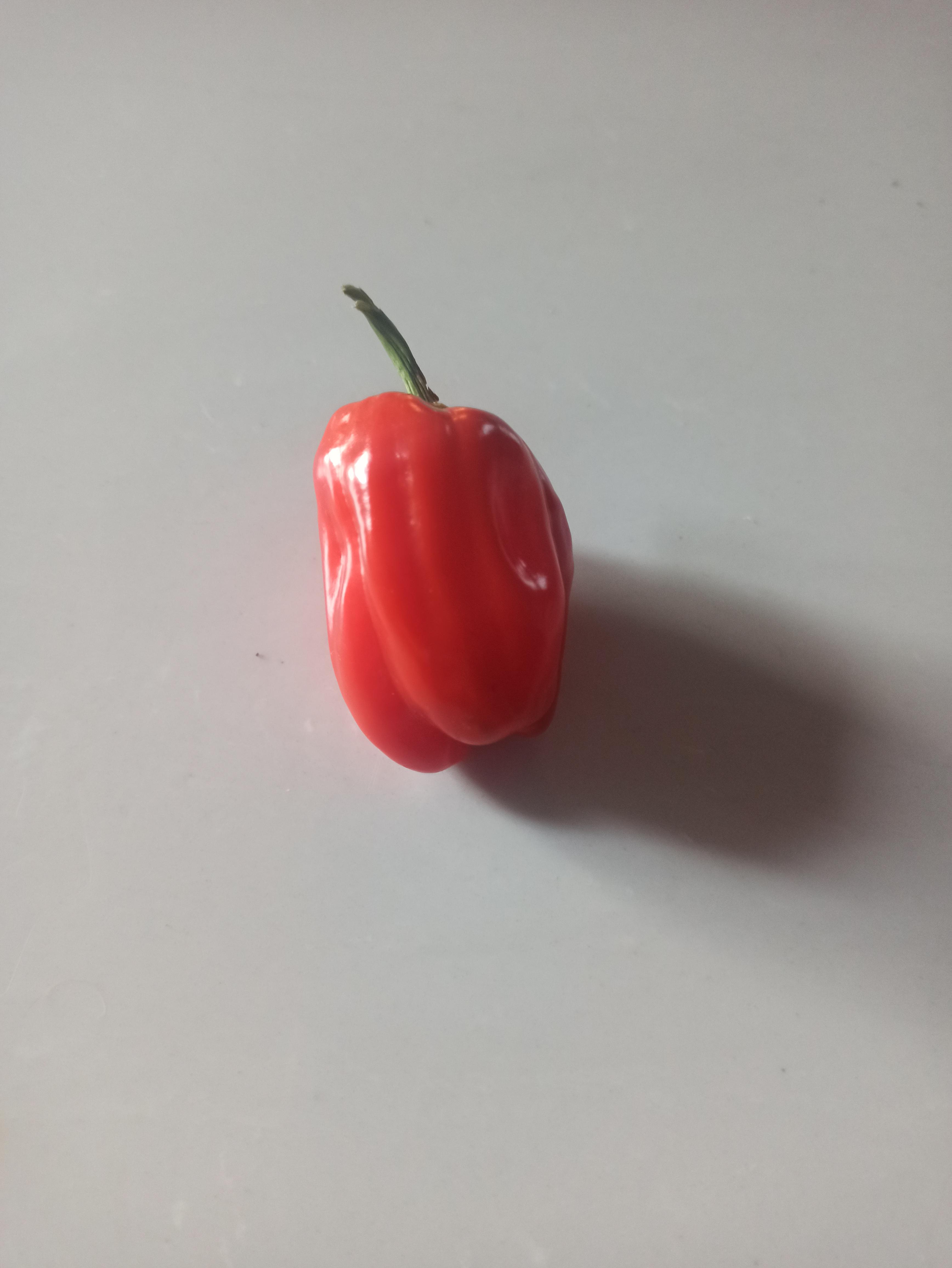 what type of pepper is this? I thought maybe it was a habanero but it