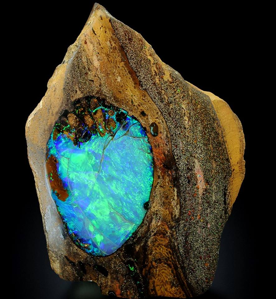 Opal in petrified wood from Winton, Winton shire, Queensland, Australia r/MineralPorn
