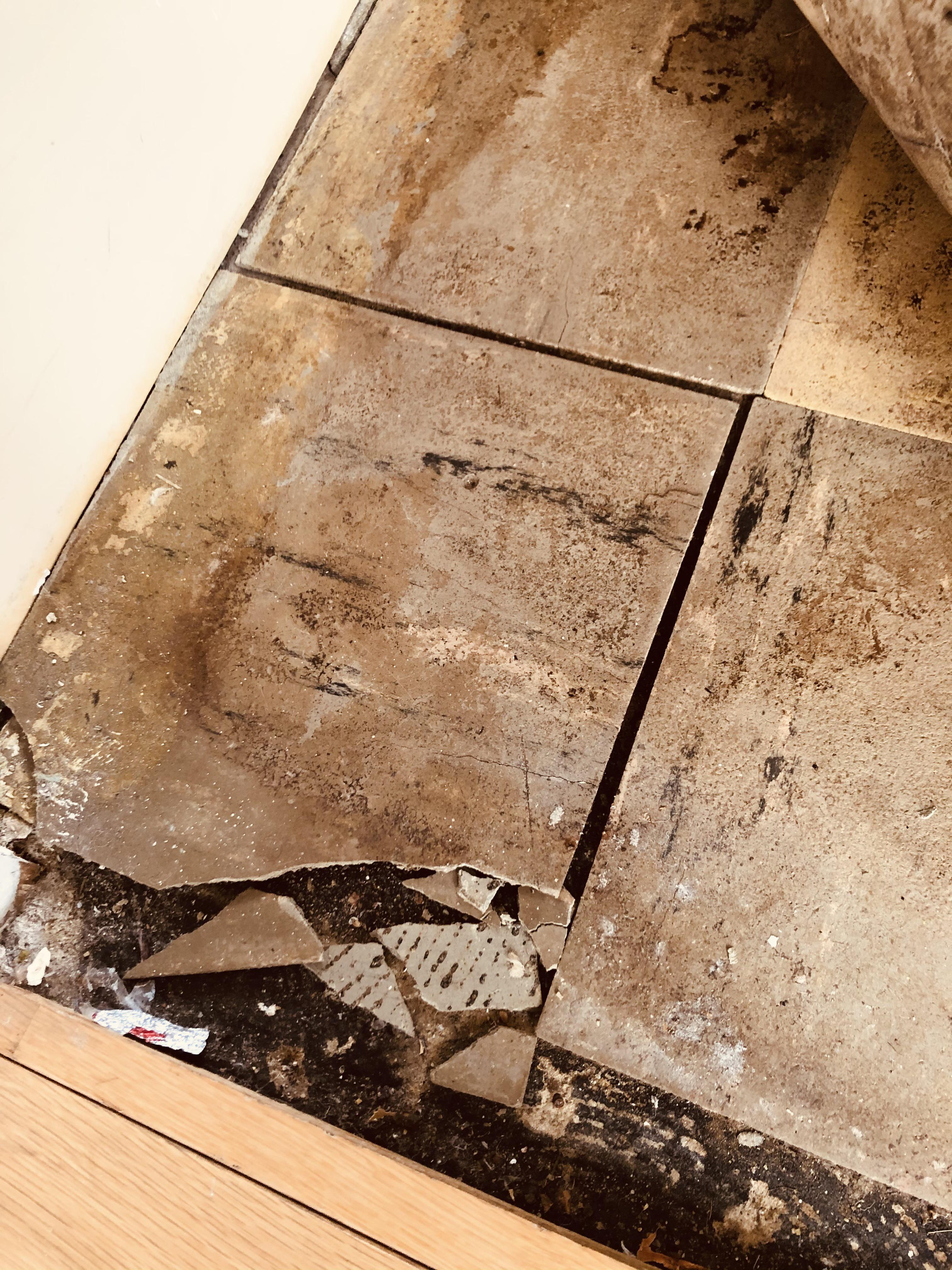 What are the chances these tiles contain asbestos? Found them under