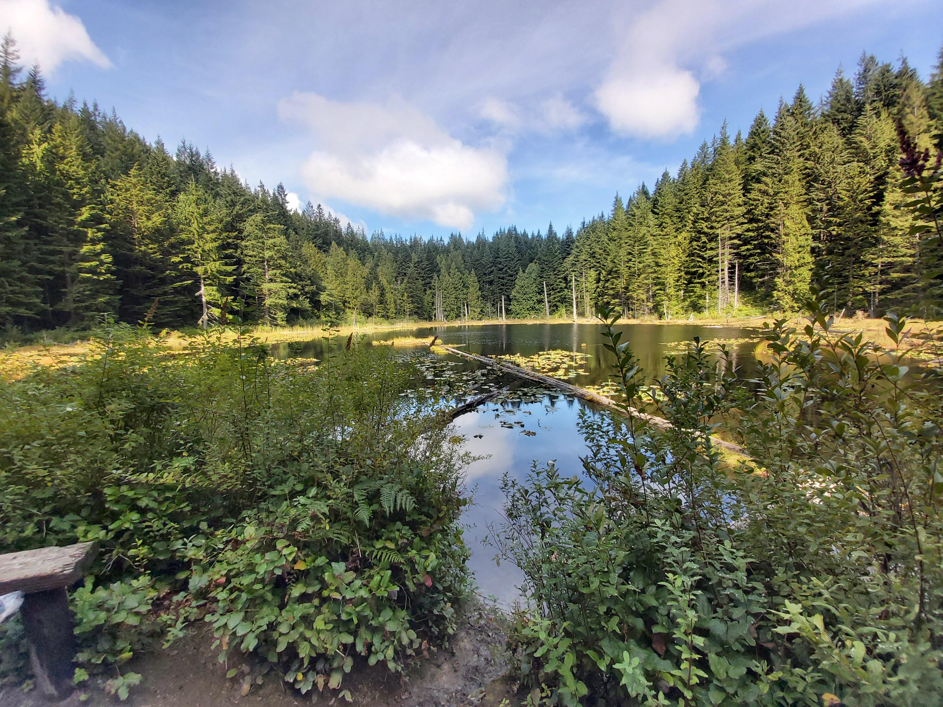 Lily Lake, Washington r/PNWhiking