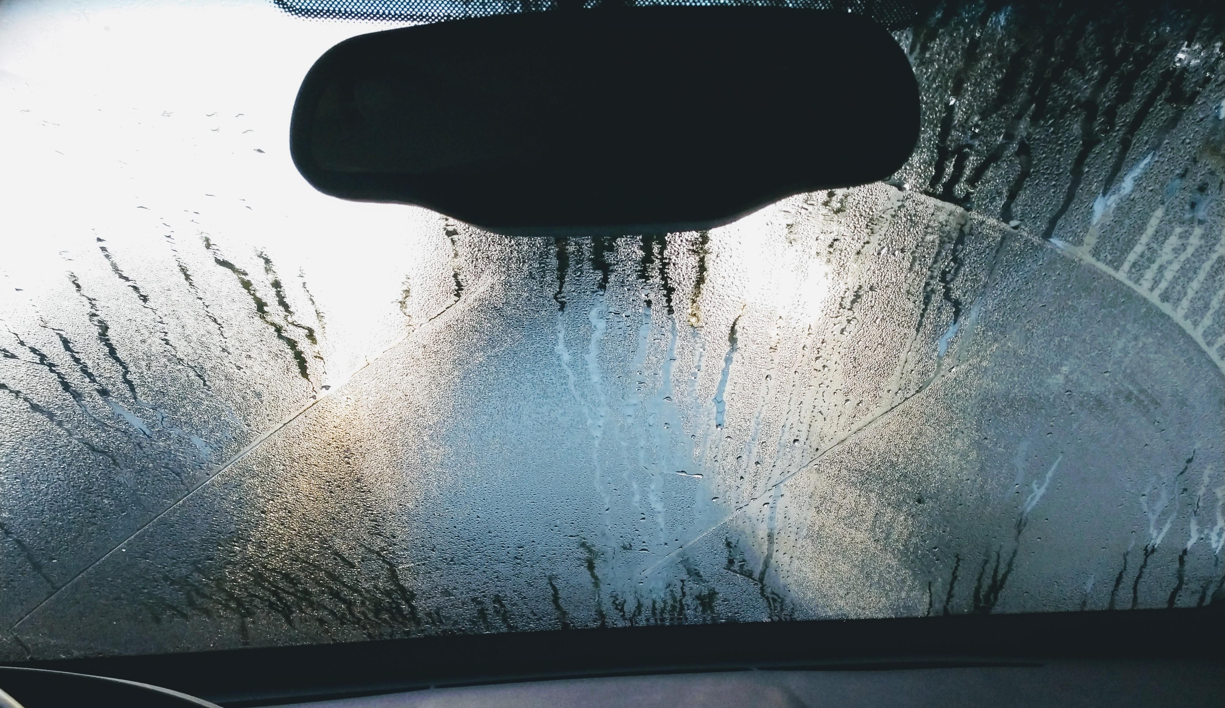 Wiper lines I found in the morning, but my wipers are down. r/mildlyinteresting