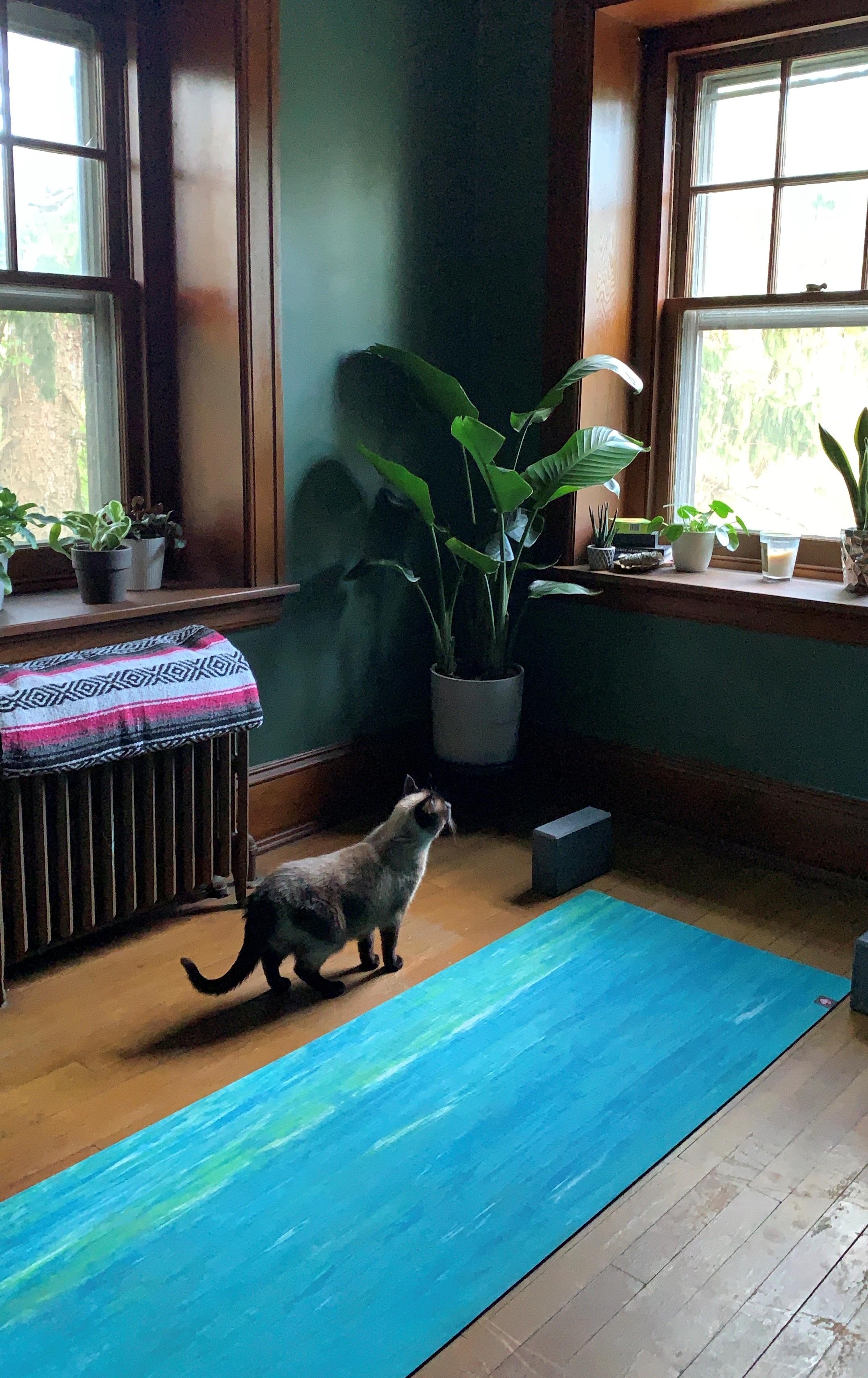 Spare bedroom converted to Yoga Room r/yoga