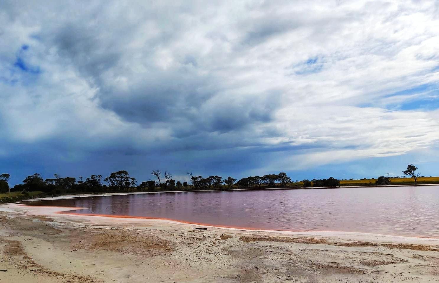 Saw my first Pink Lake in Cranbrook , WA. 10 mins off Albany Highway to