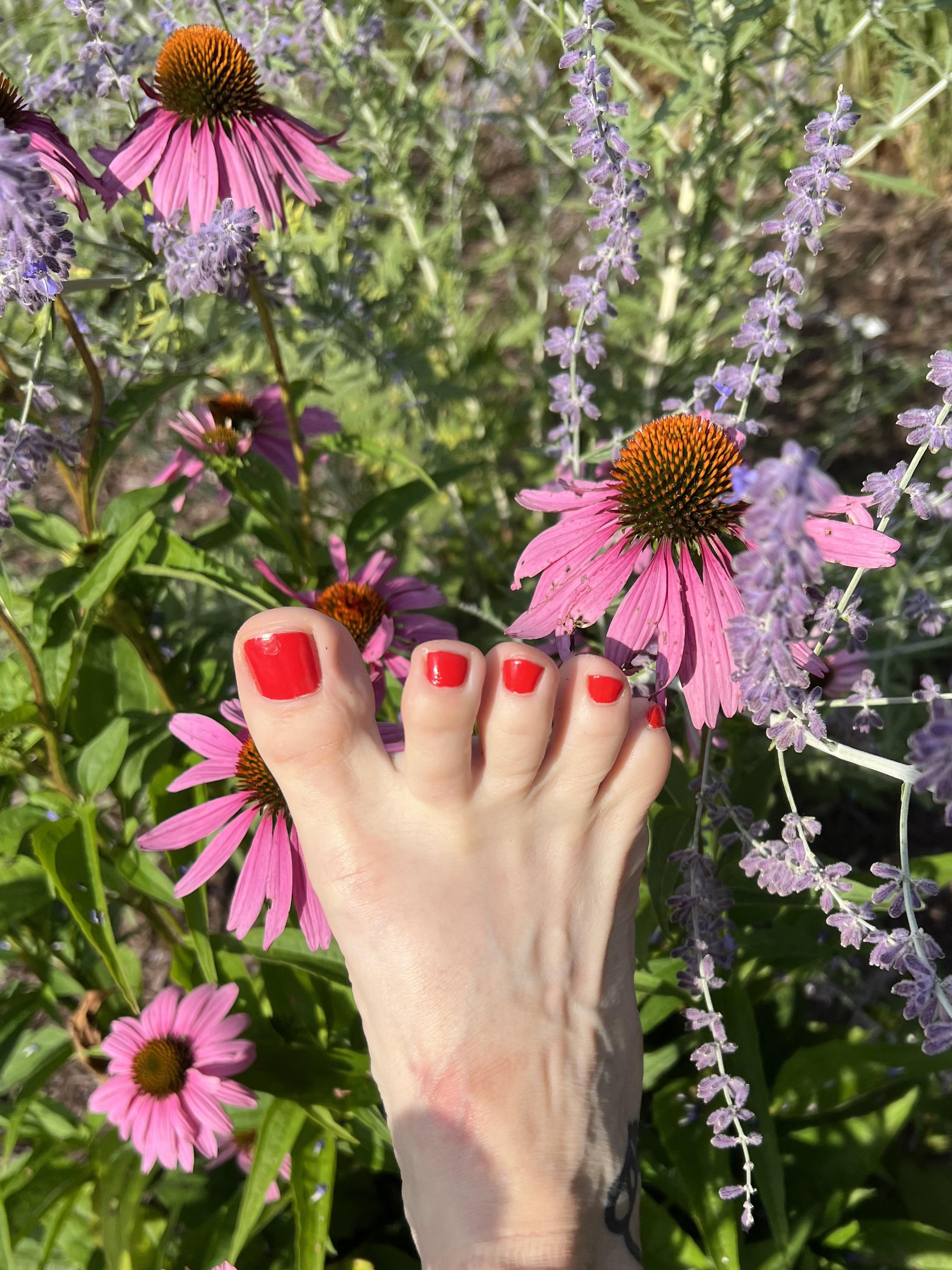 Bad Seed Unfiltered (u/Badseedunfiltered69) - Reddit