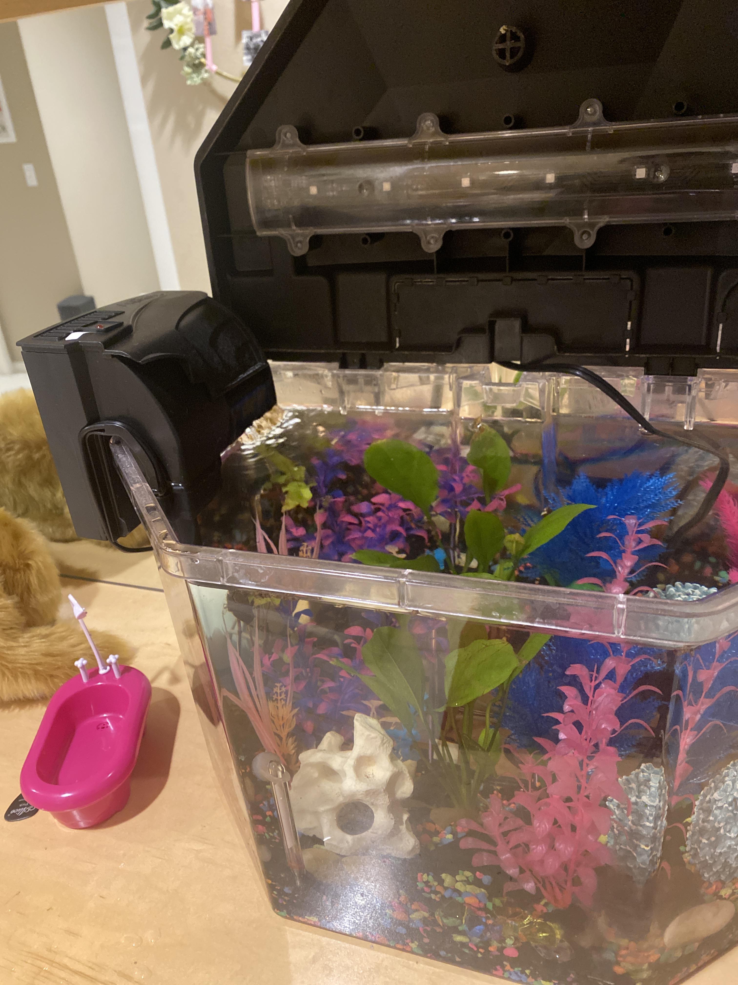 I installed a 10gal filter on a smaller tank. Now water keeps evaporating because i can’t close