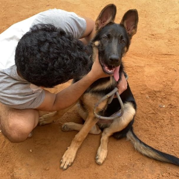 Why does my dog get aggressive/growl at me when I make him chase me. He