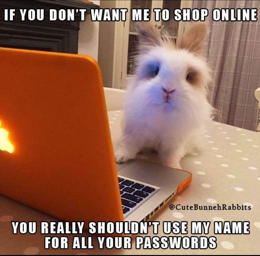 Found this on Facebook. 😂🐰 r/Rabbits