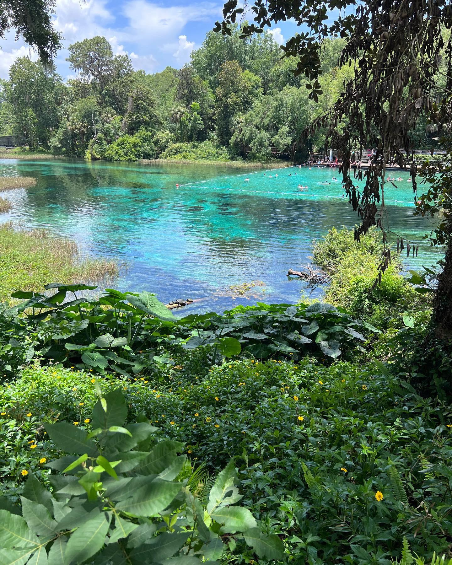 Rainbow Springs, Dunnellon Florida r/Outdoors