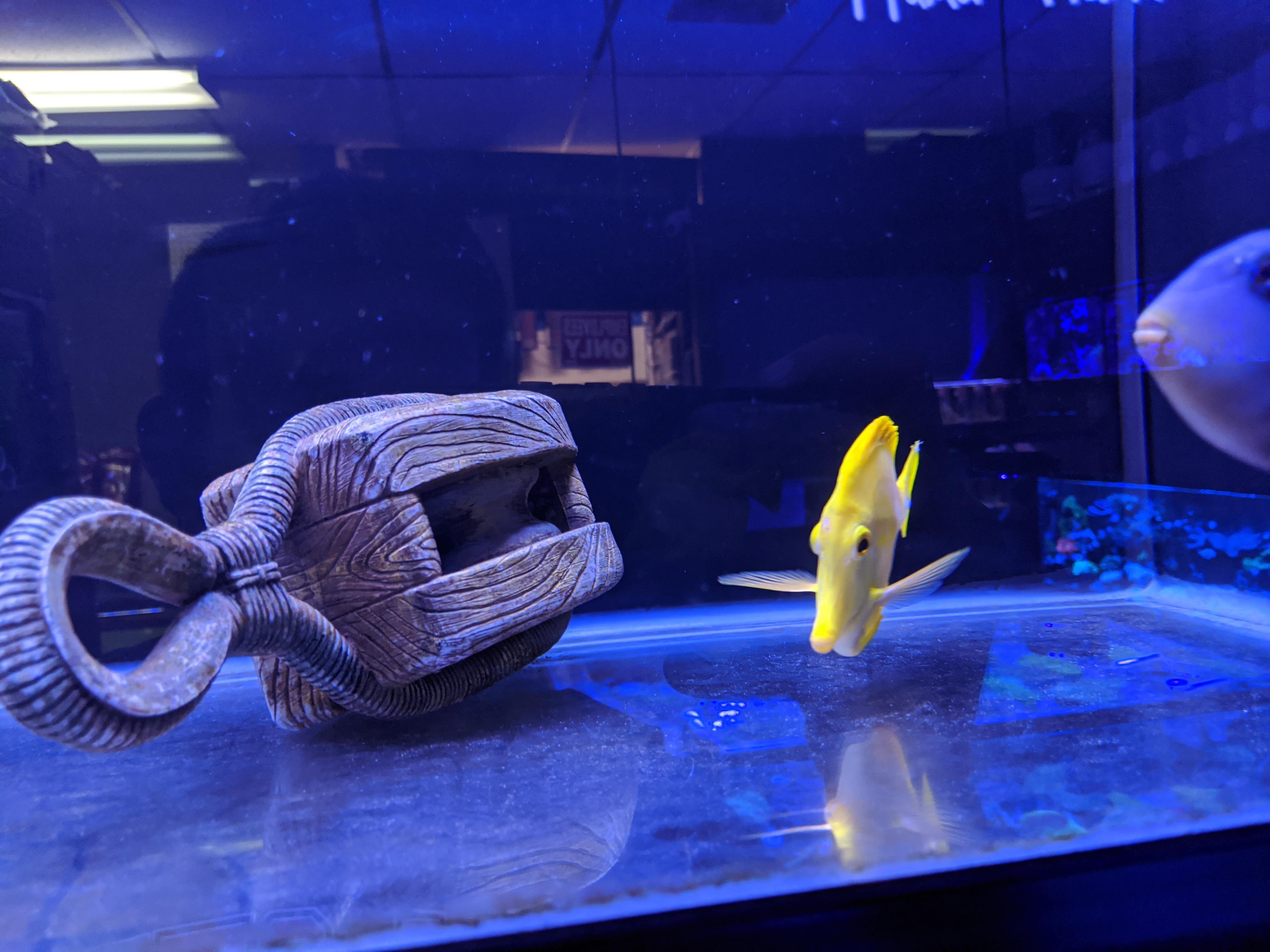 At a pet store in Orange County, California, we found what must be a