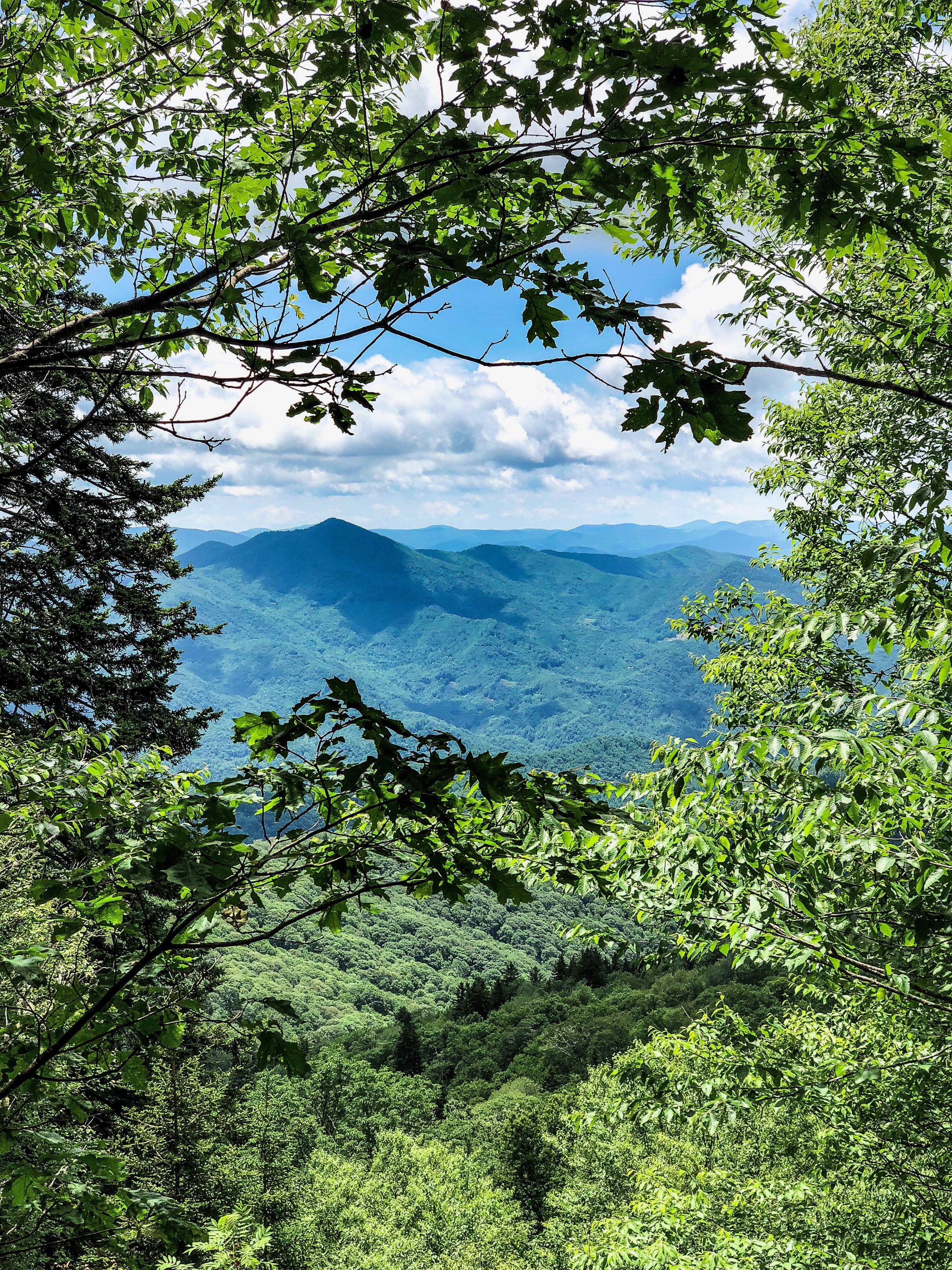 Blue ridge mountains from inside trail near Waynesville NC. OC (1920X1080) r/EarthPorn