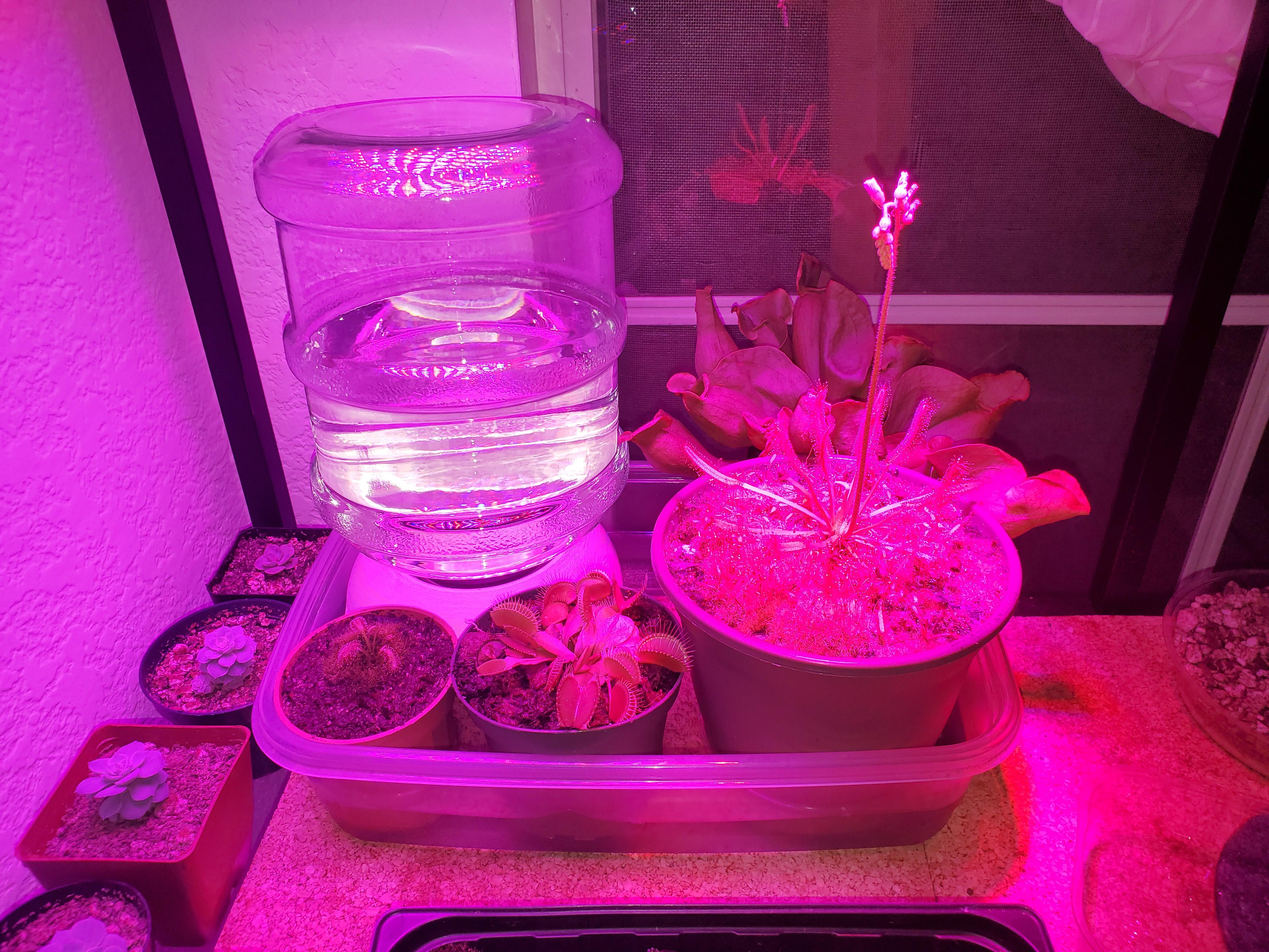 Really proud of the solution I came up with to not have to refill my