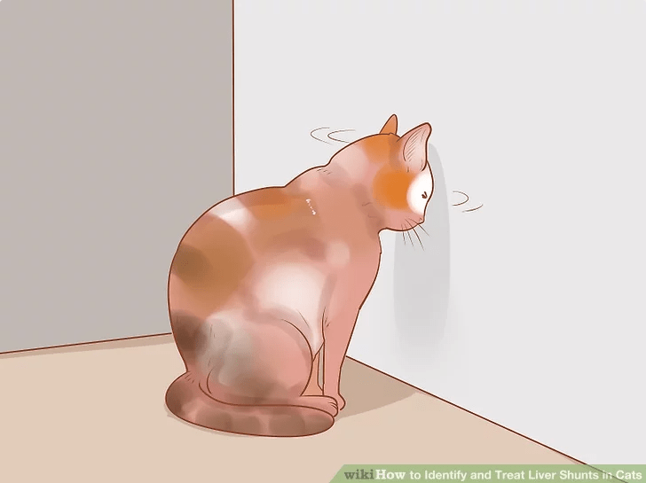 How to put your cat in timeout r/disneyvacation
