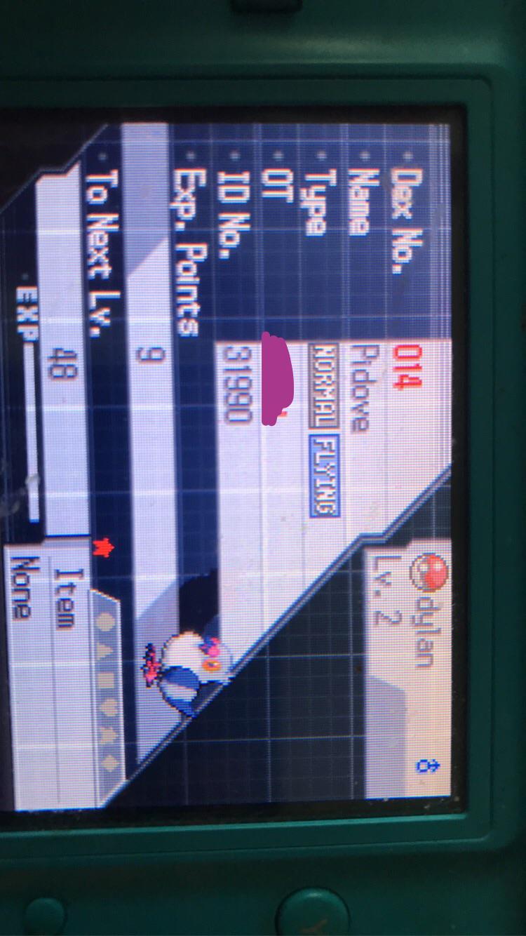 [gen 5] I got my flyer but imma keep going for sunkern/sewaddle r/ShinyPokemon
