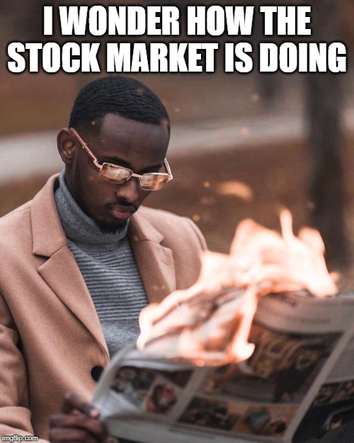 I wonder how the stock market is doing r/funny
