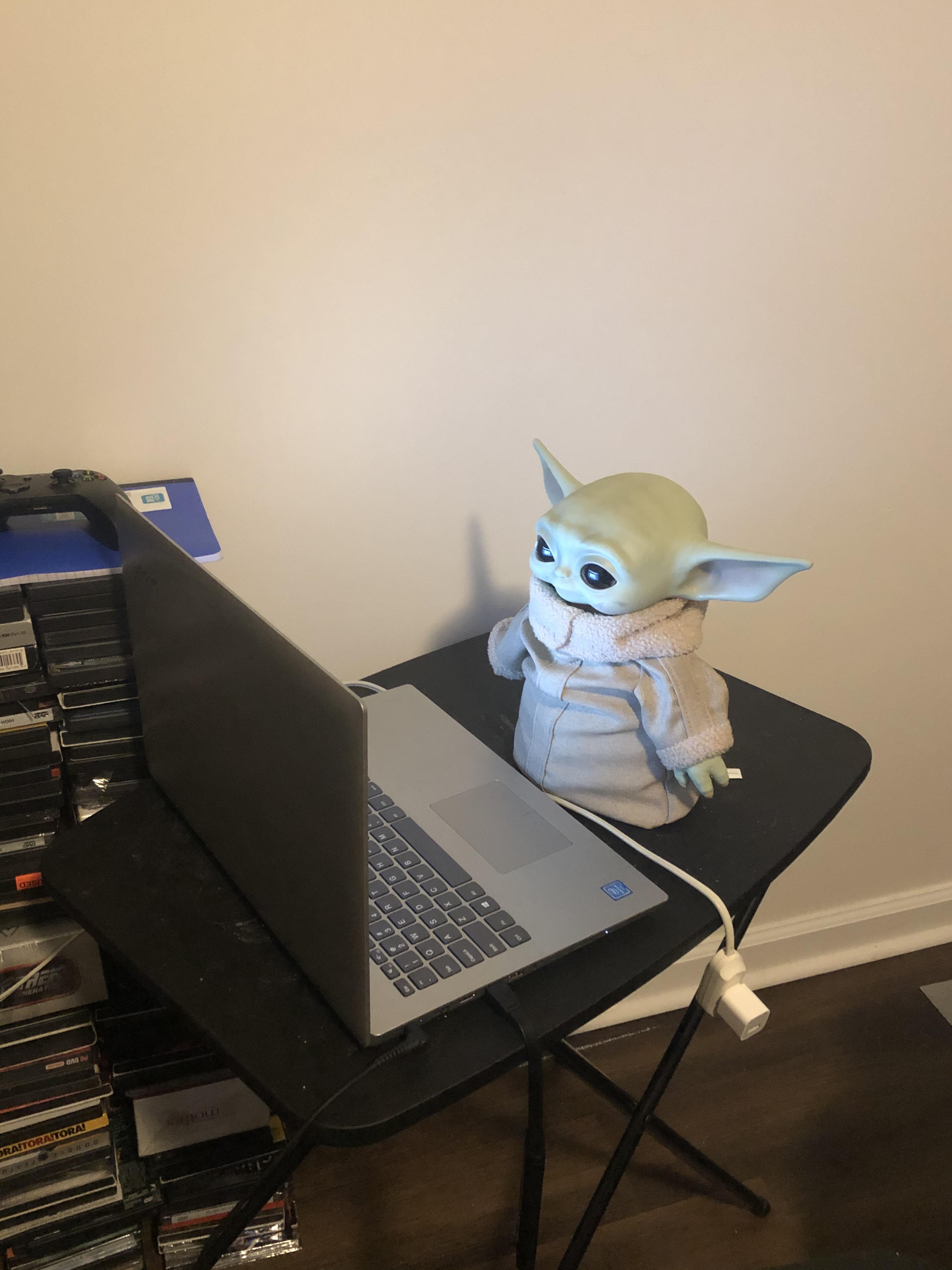 Baby Yoda has arrived, and has taken over my online classes. r/BabyYoda