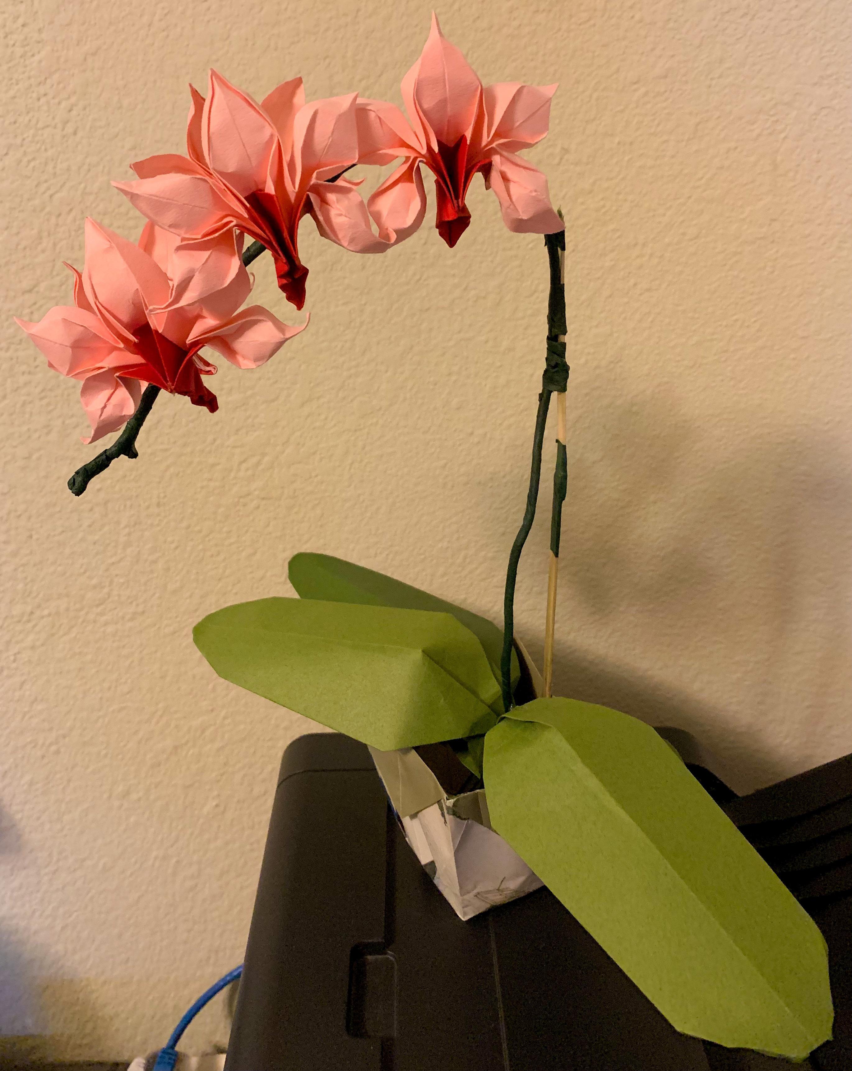 Made another origami orchid! r/orchids