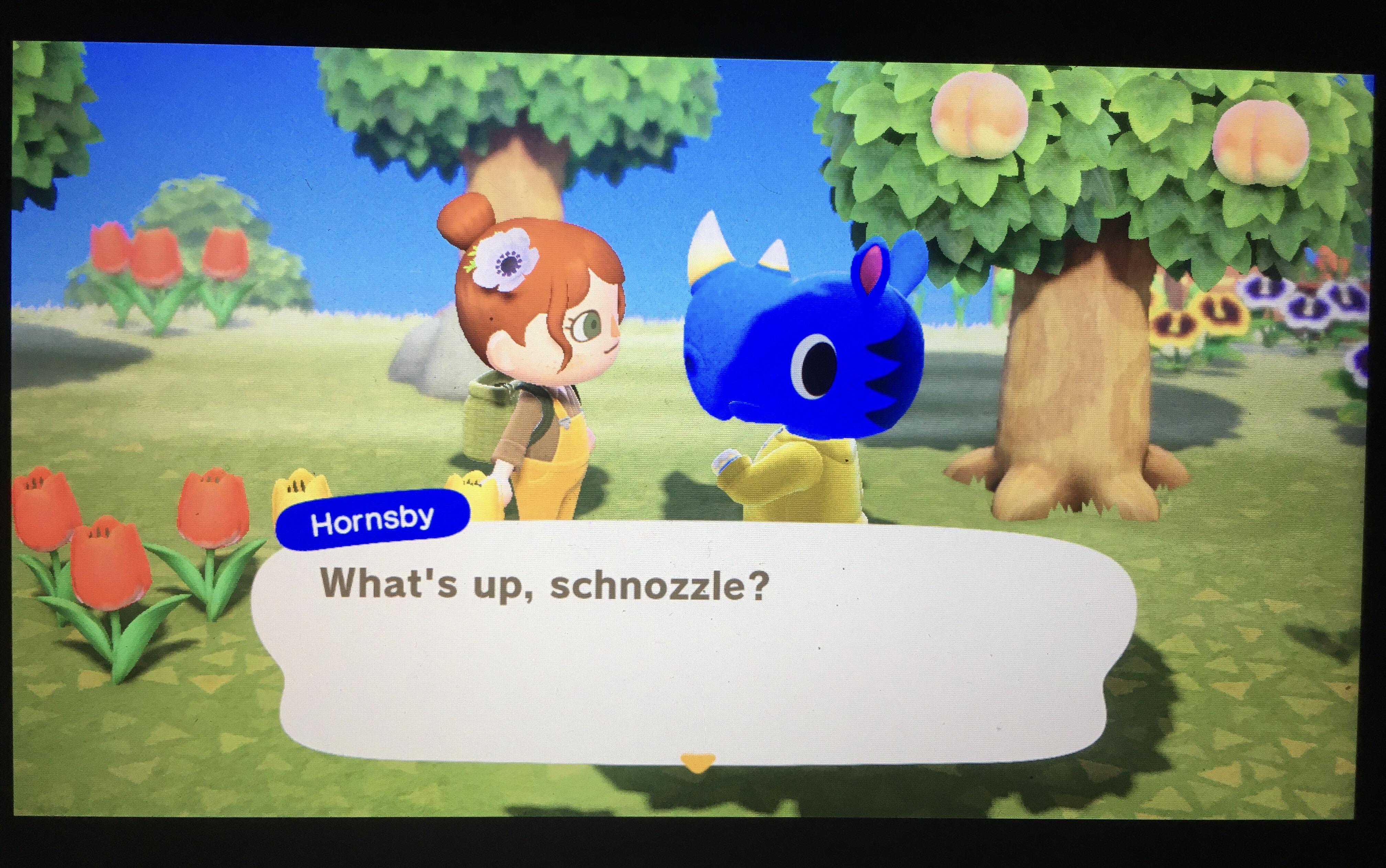 168 best Hornsby images on Pholder Sydney, Animal Crossing and Baseball