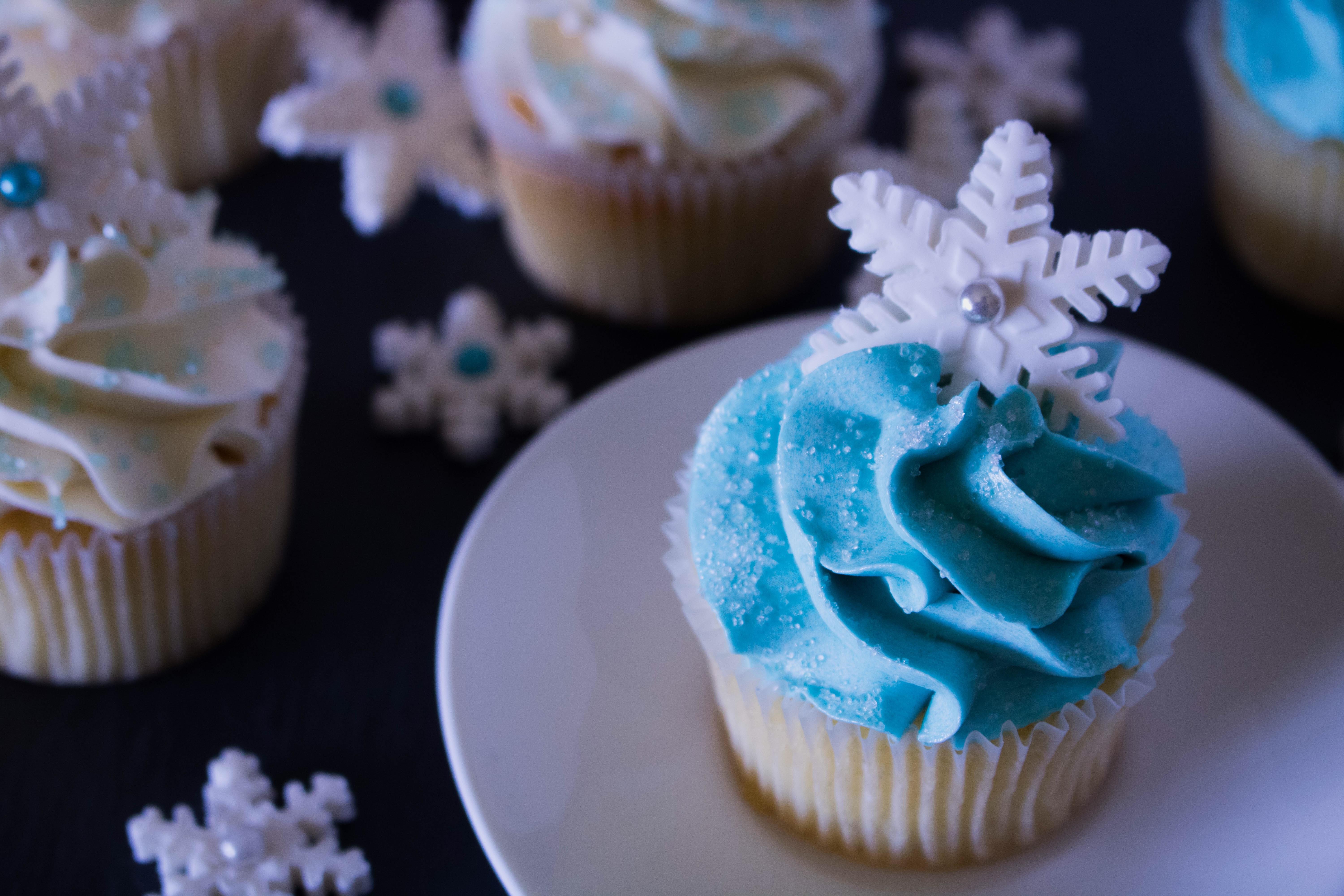 Winter Wonderland Cupcakes! [OC] [6000x4000] FoodPorn